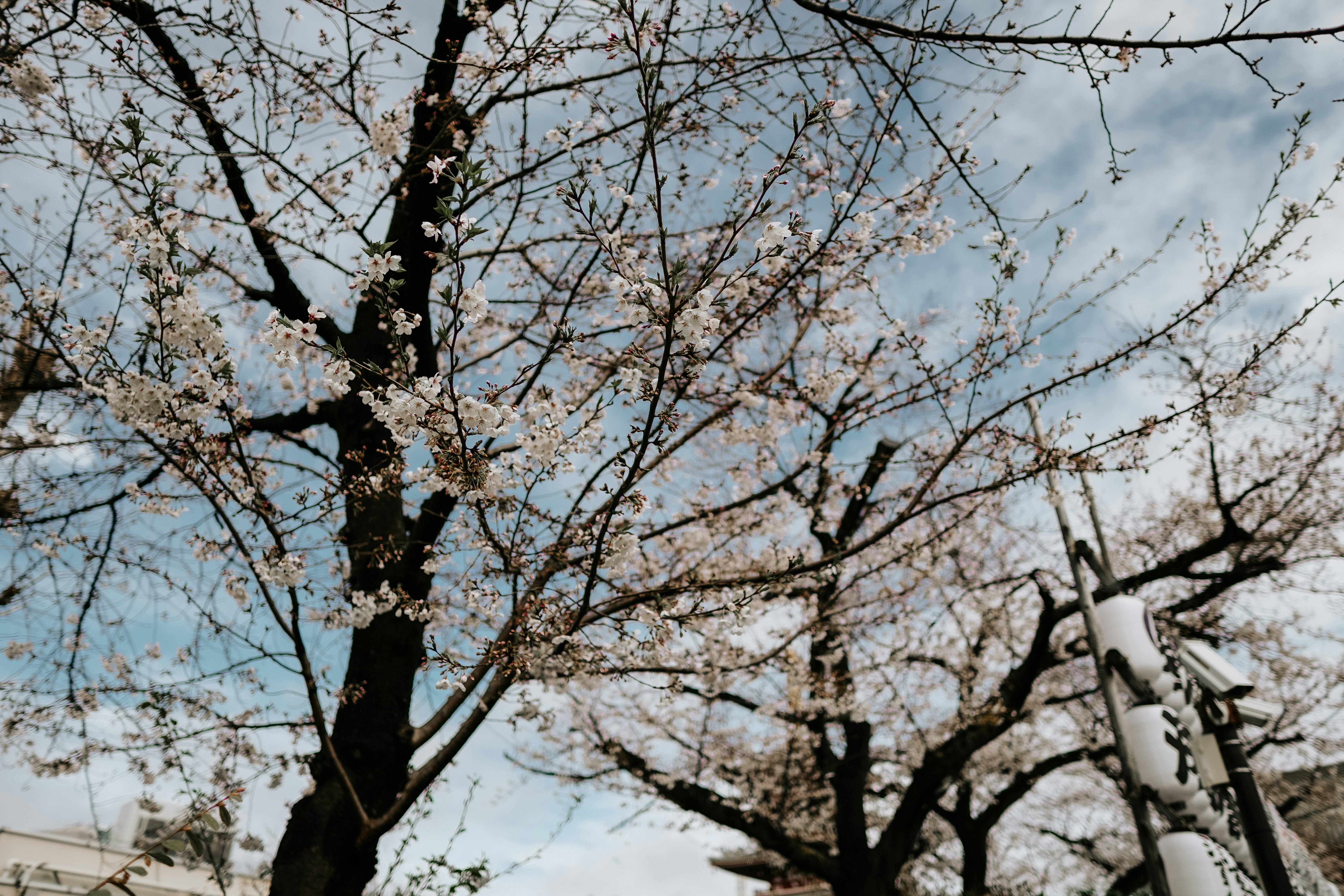 Photo by ramonbucard