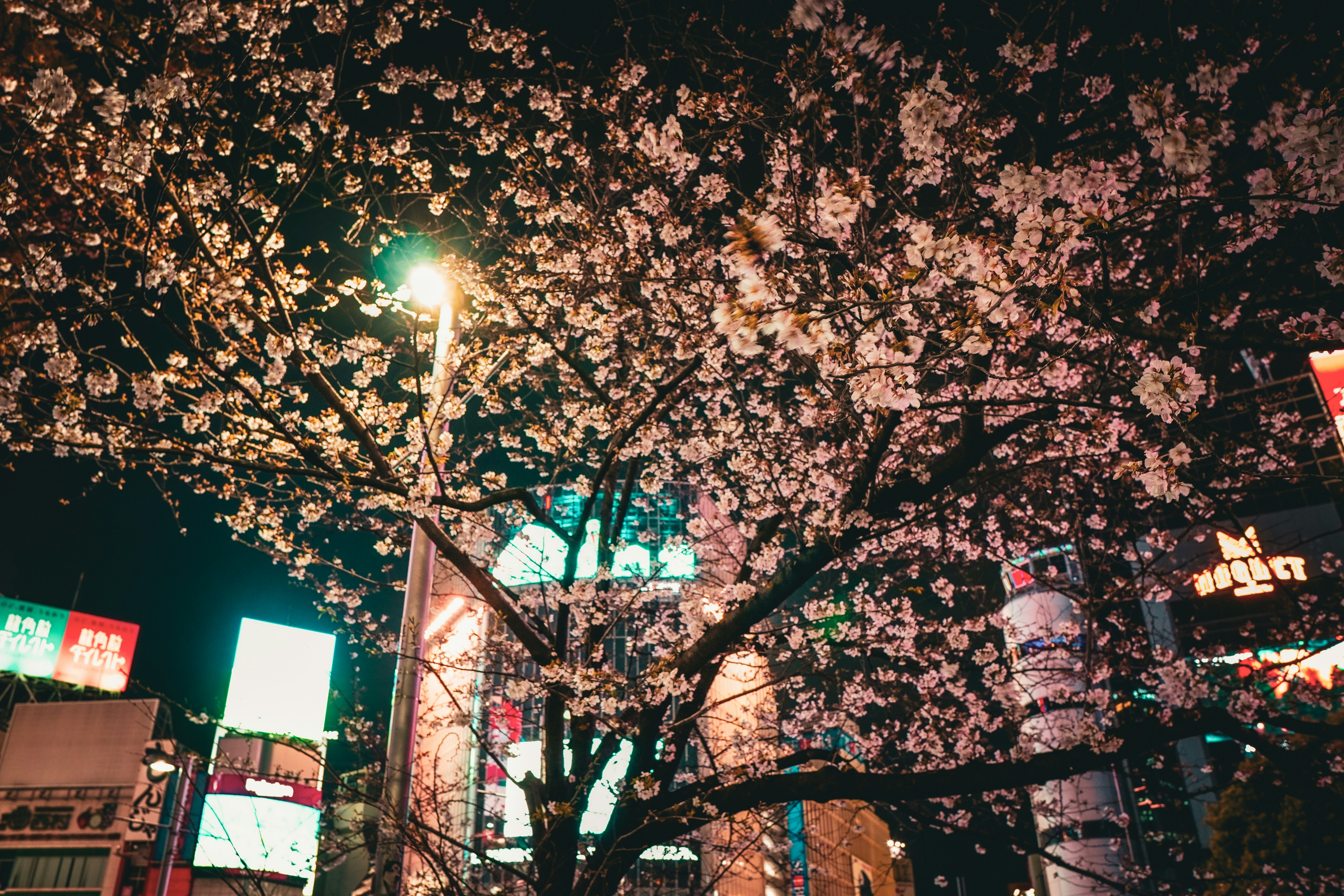 Photo by ramonbucard