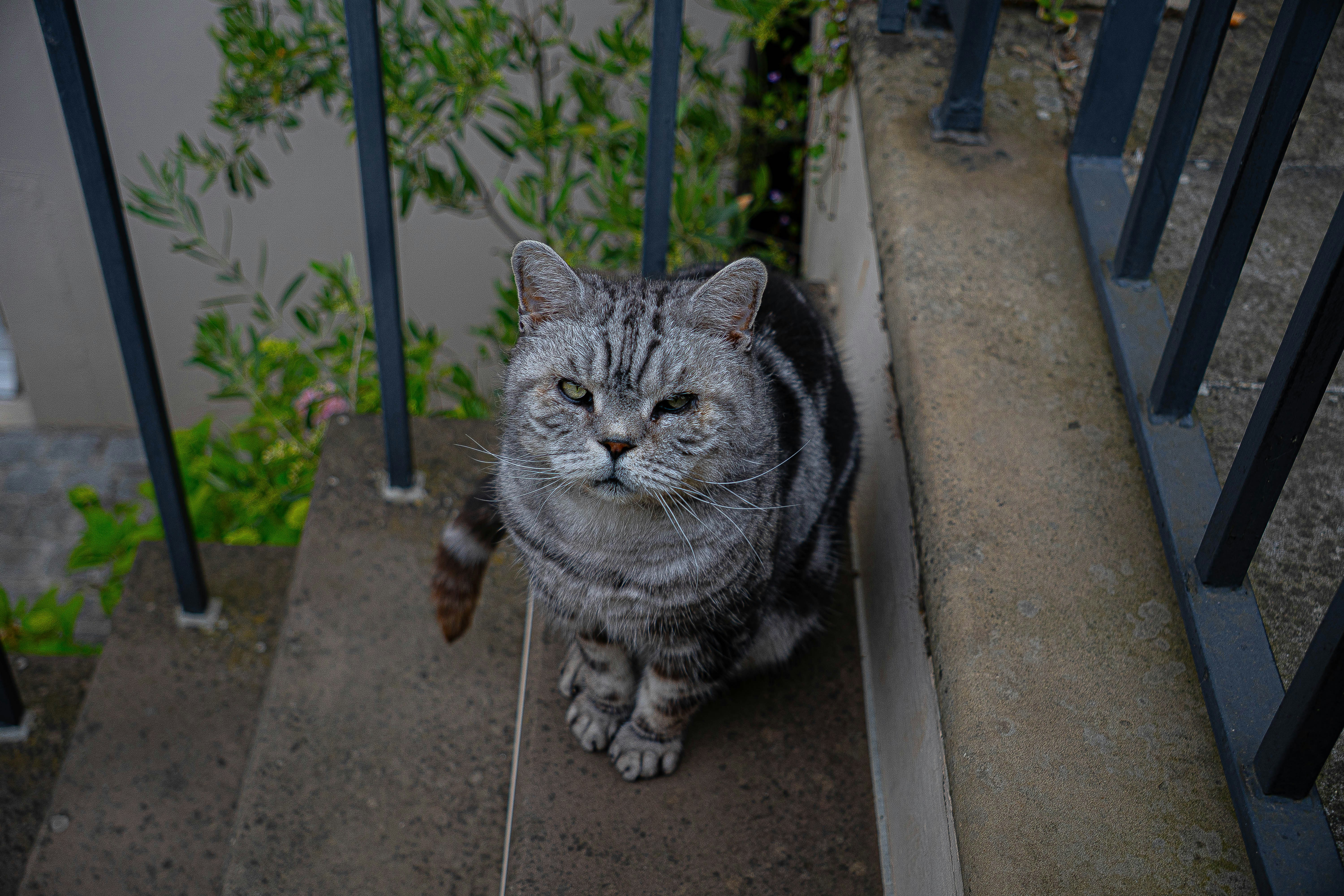 Independence and Self-Reliance (image credits: unsplash)