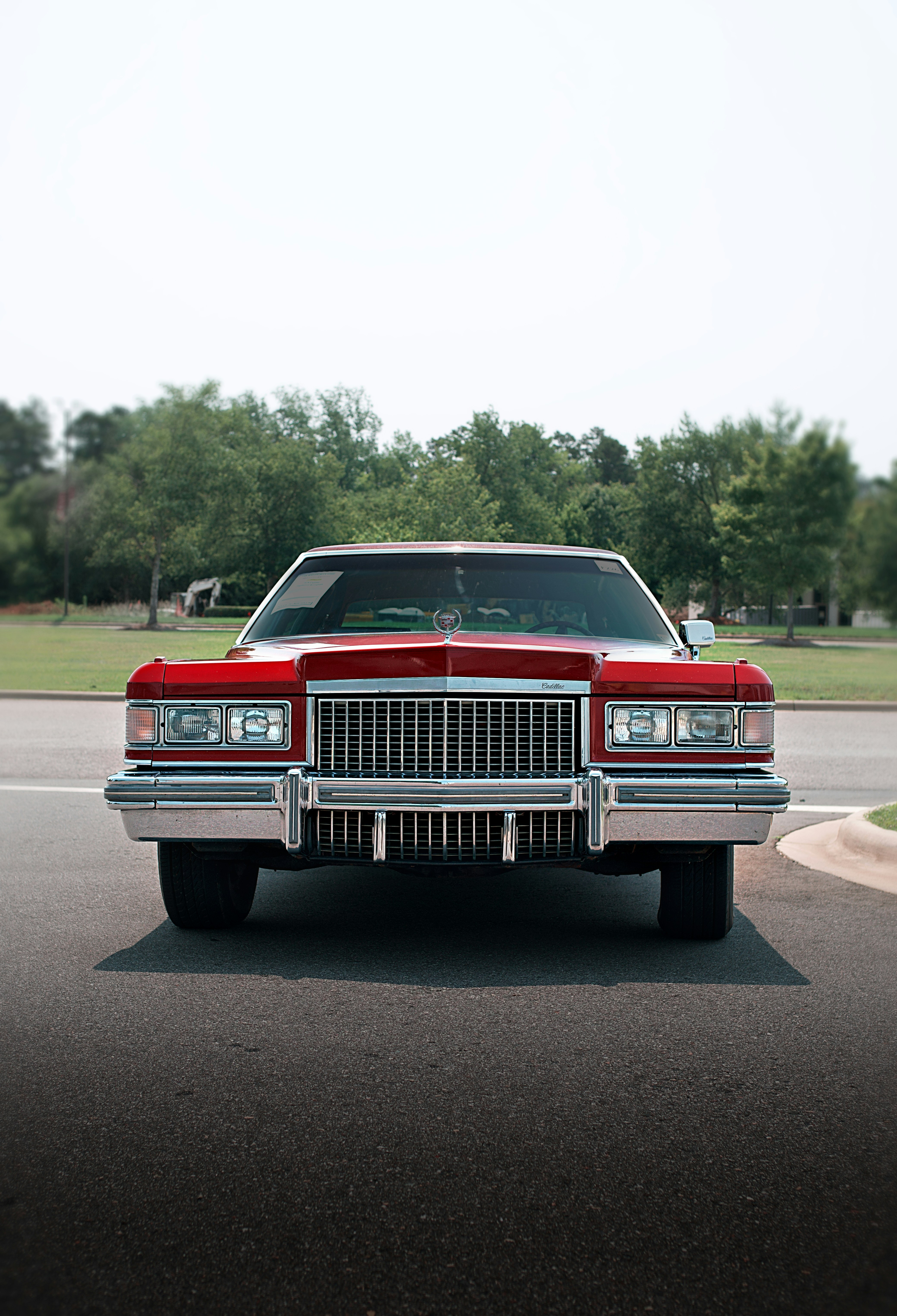 Photo by leiadakrozjhen