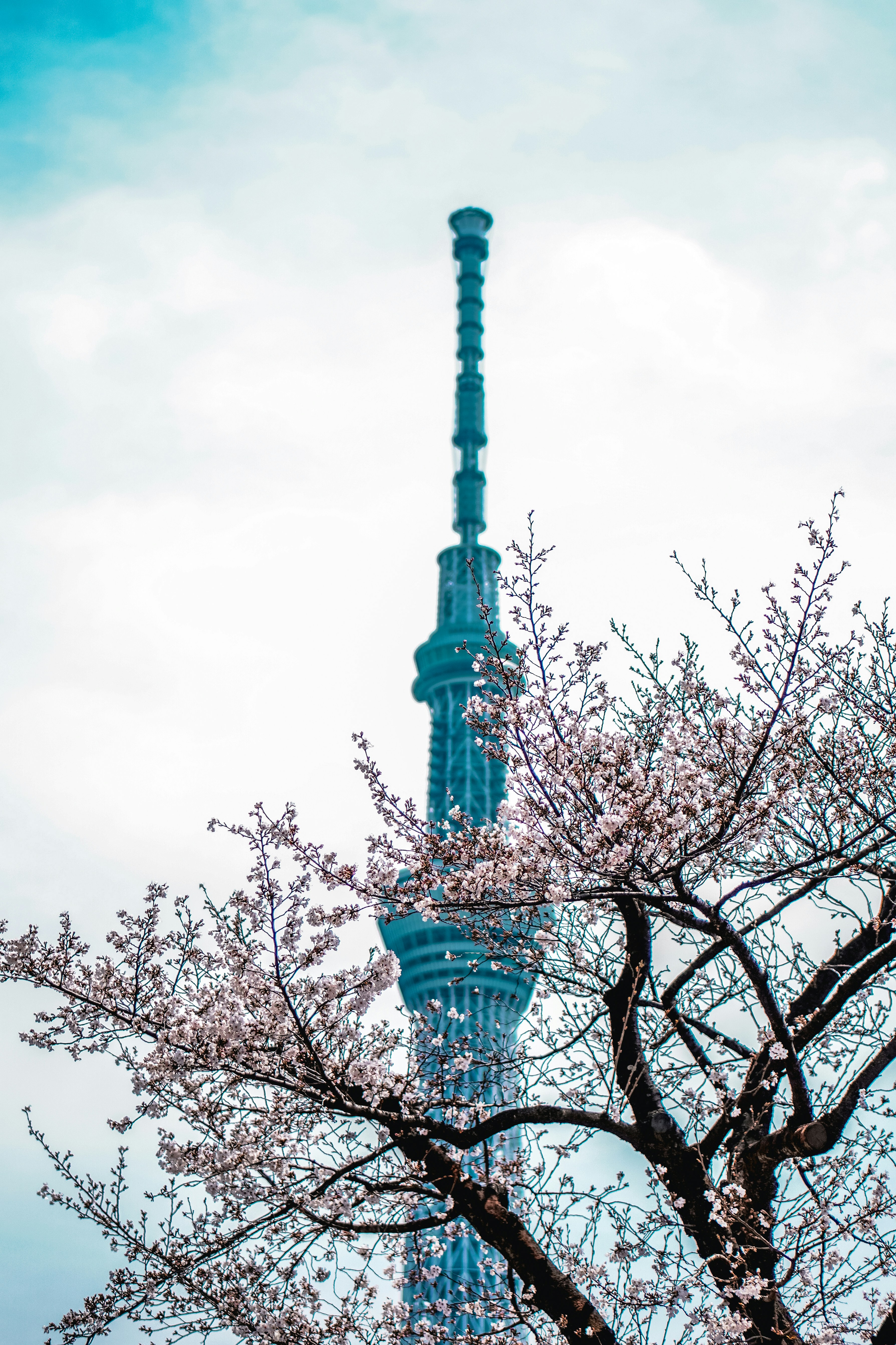 Photo by ramonbucard