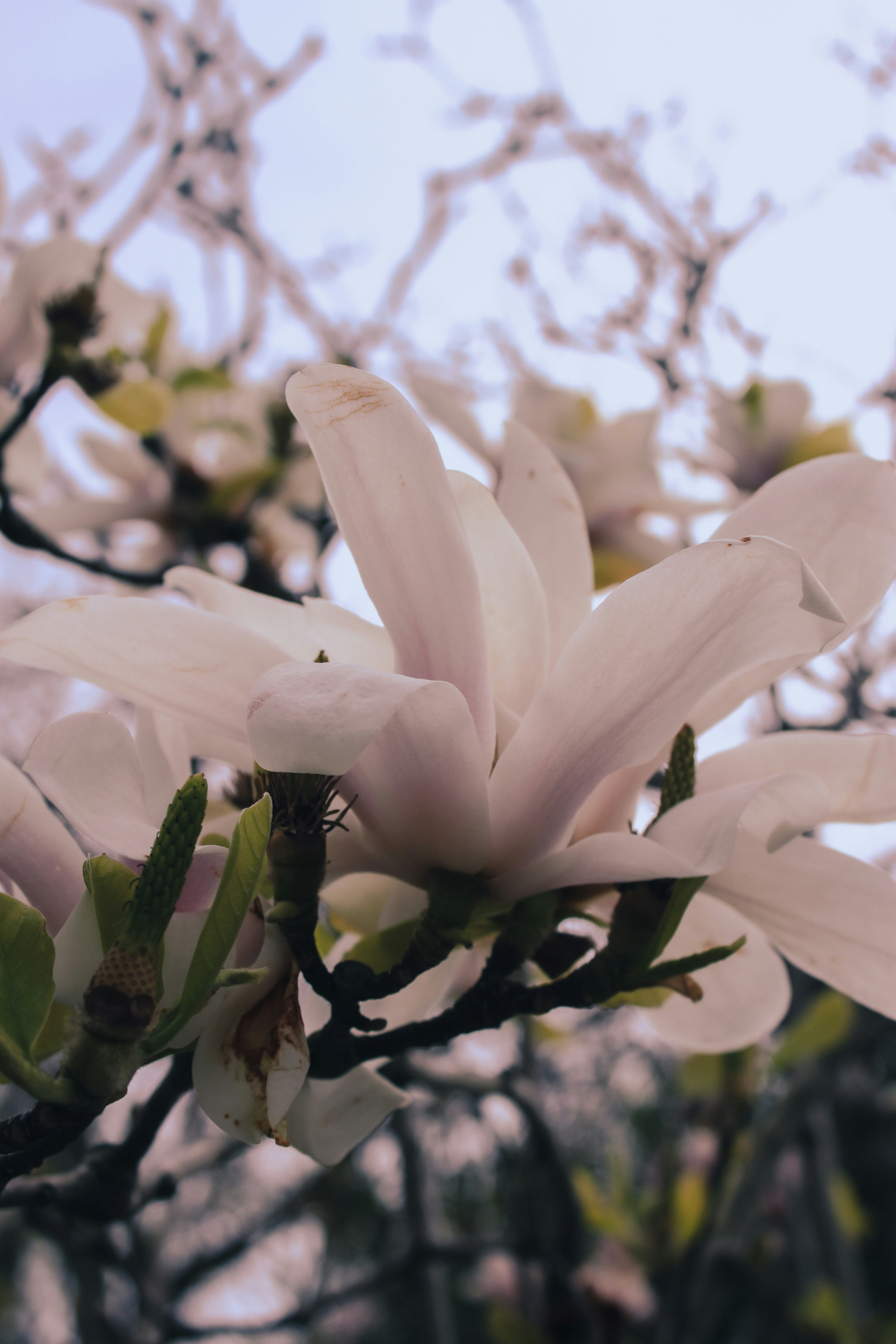 Photo by im_nacty