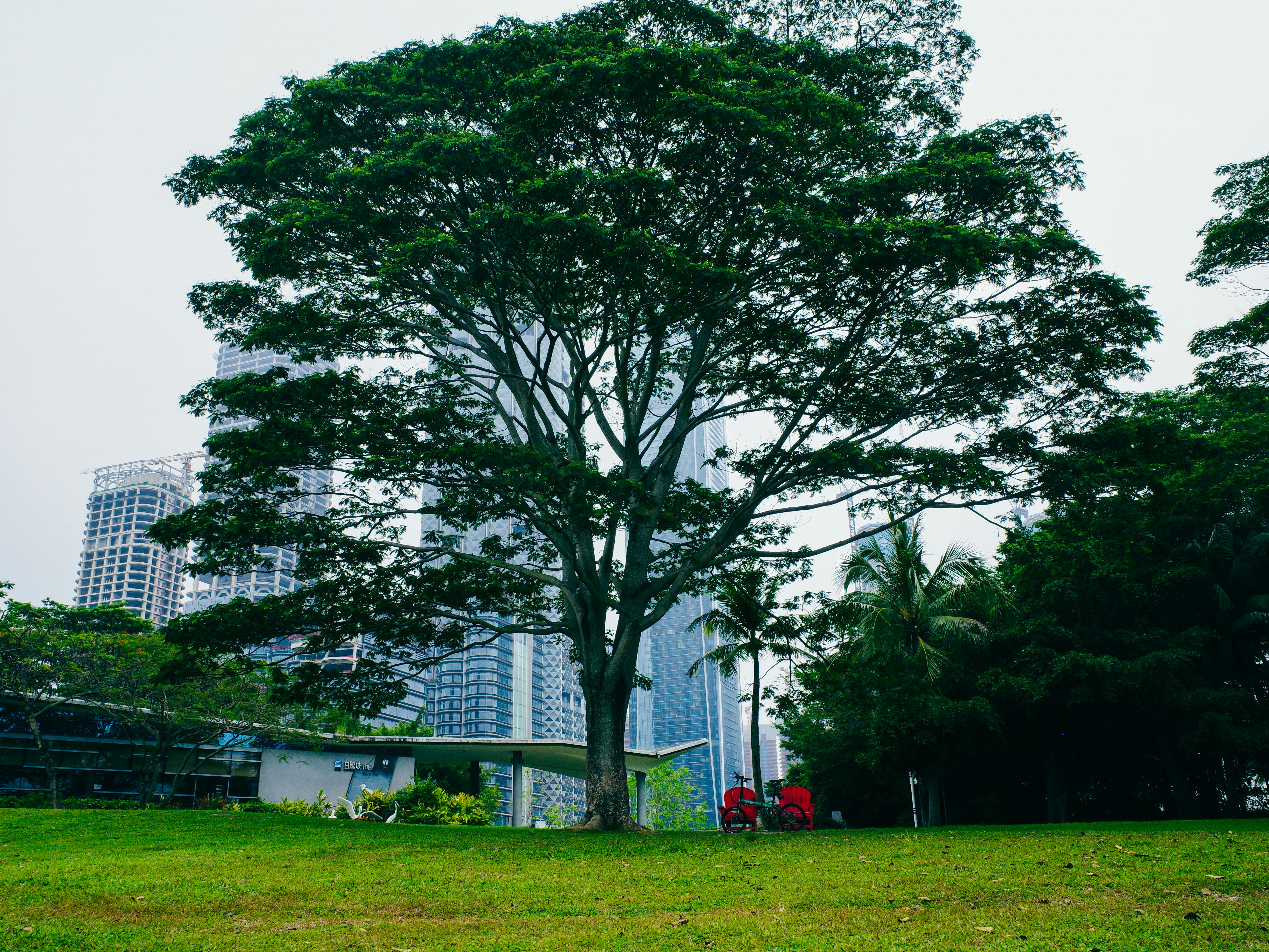 Photo by dickenslin76