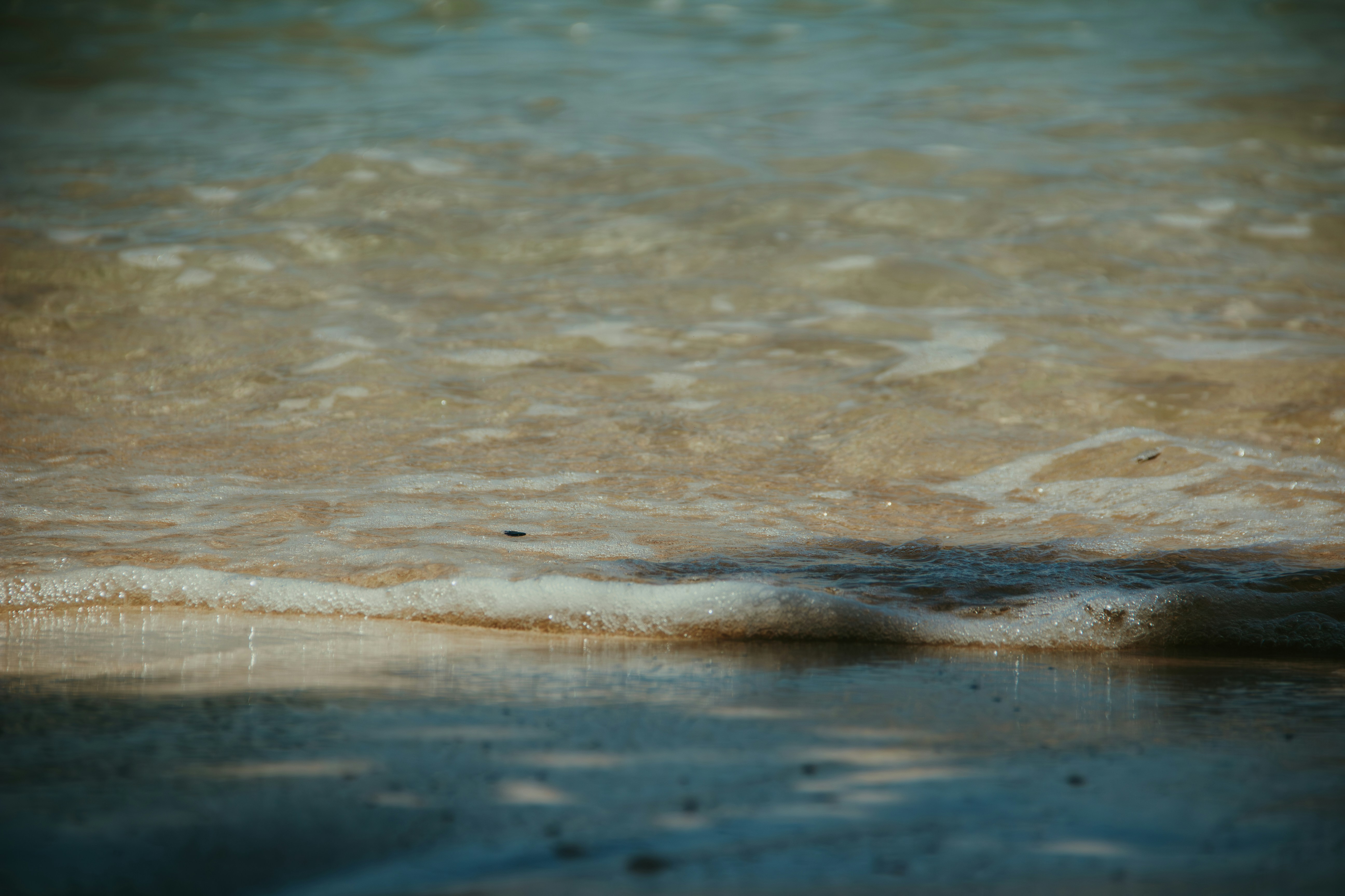 Photo by halflittheory