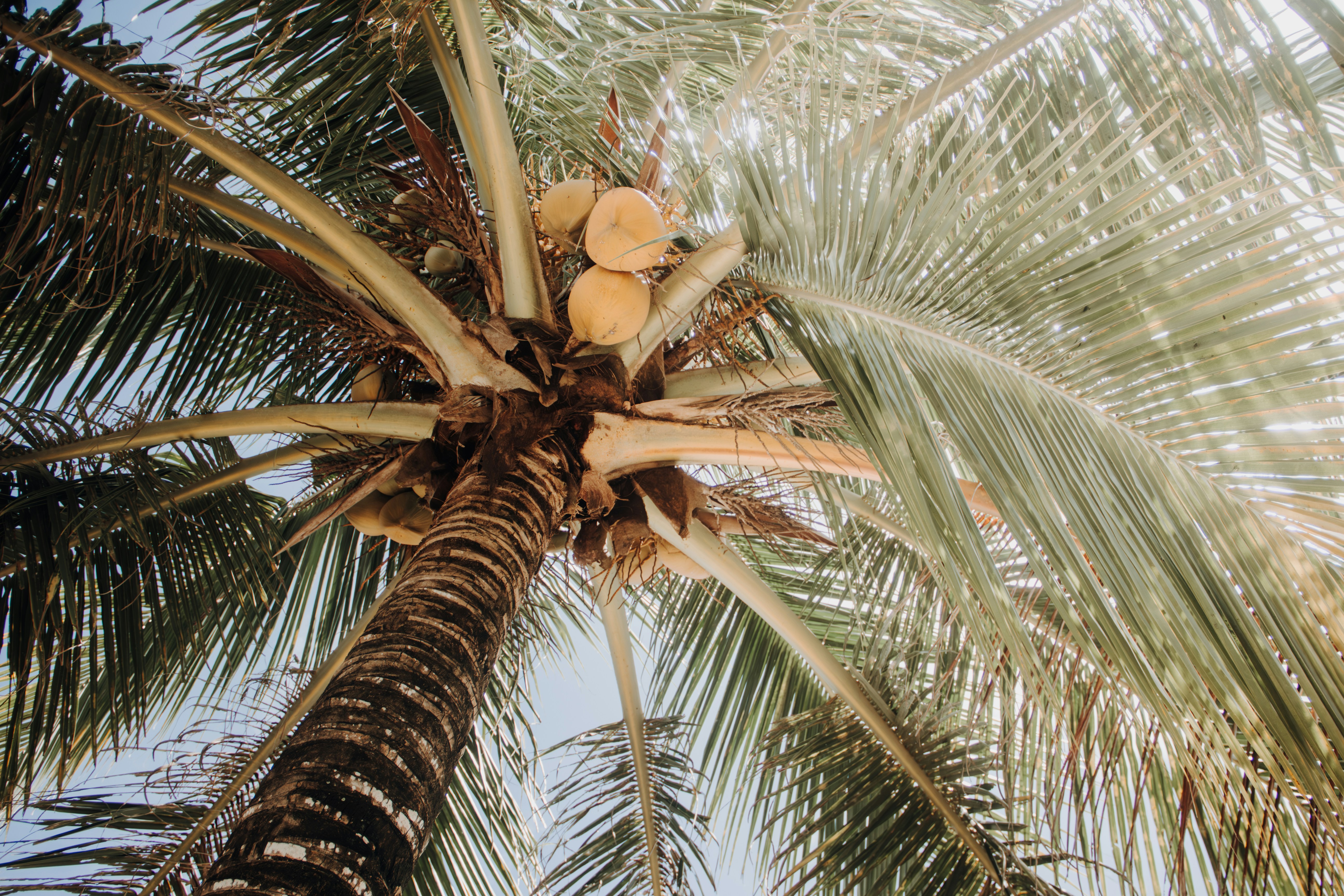 Photo by halflittheory