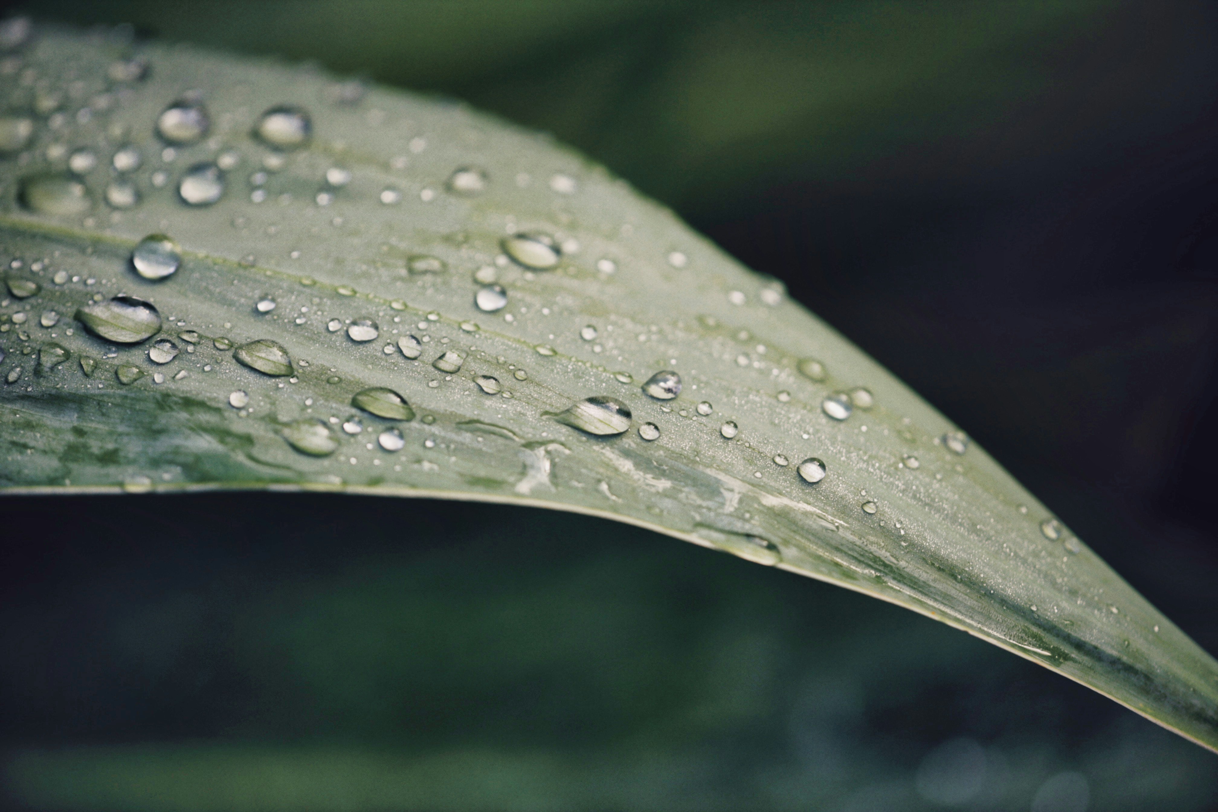 Photo by alexeydemidov