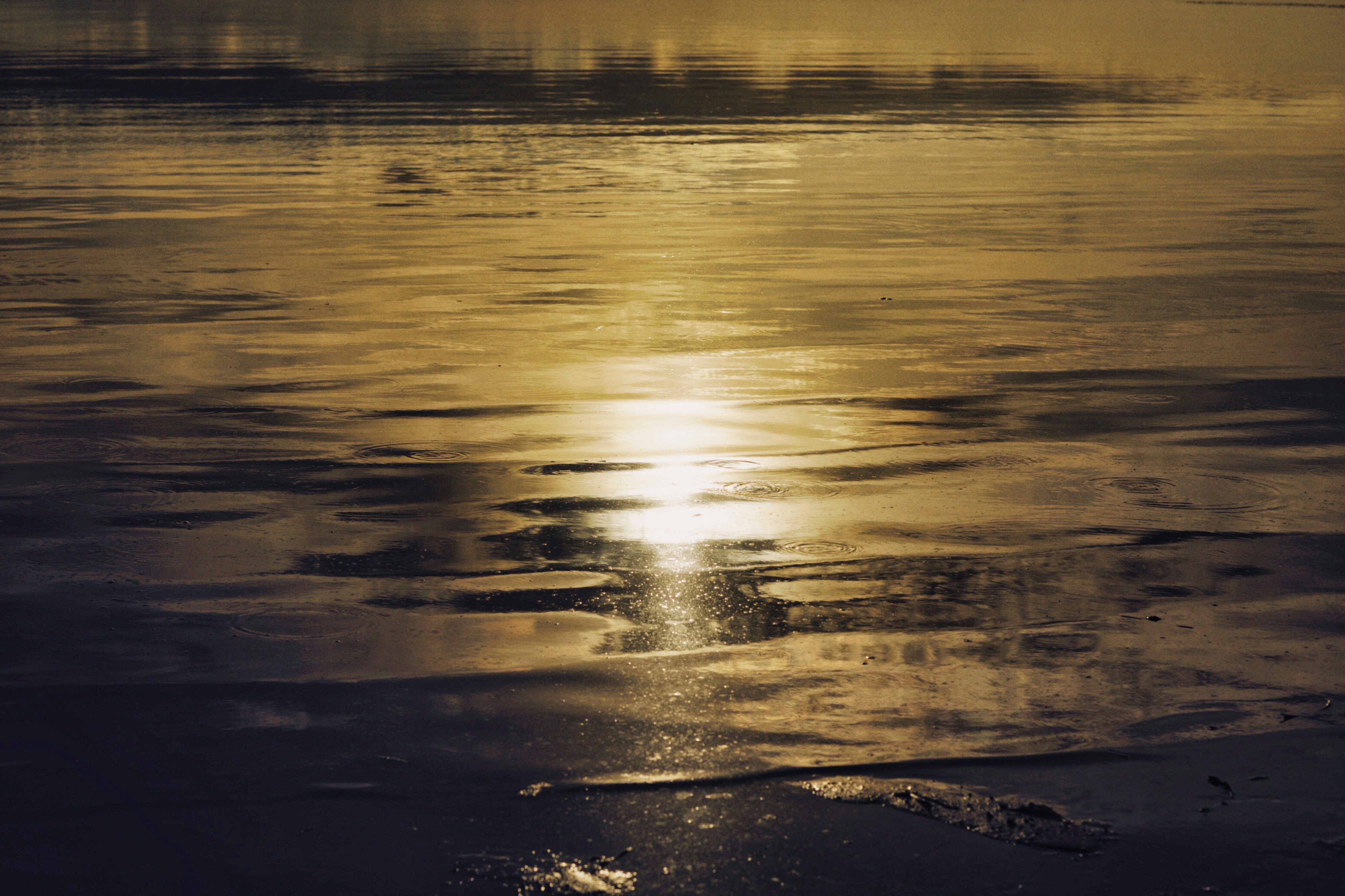 Photo by alexeydemidov