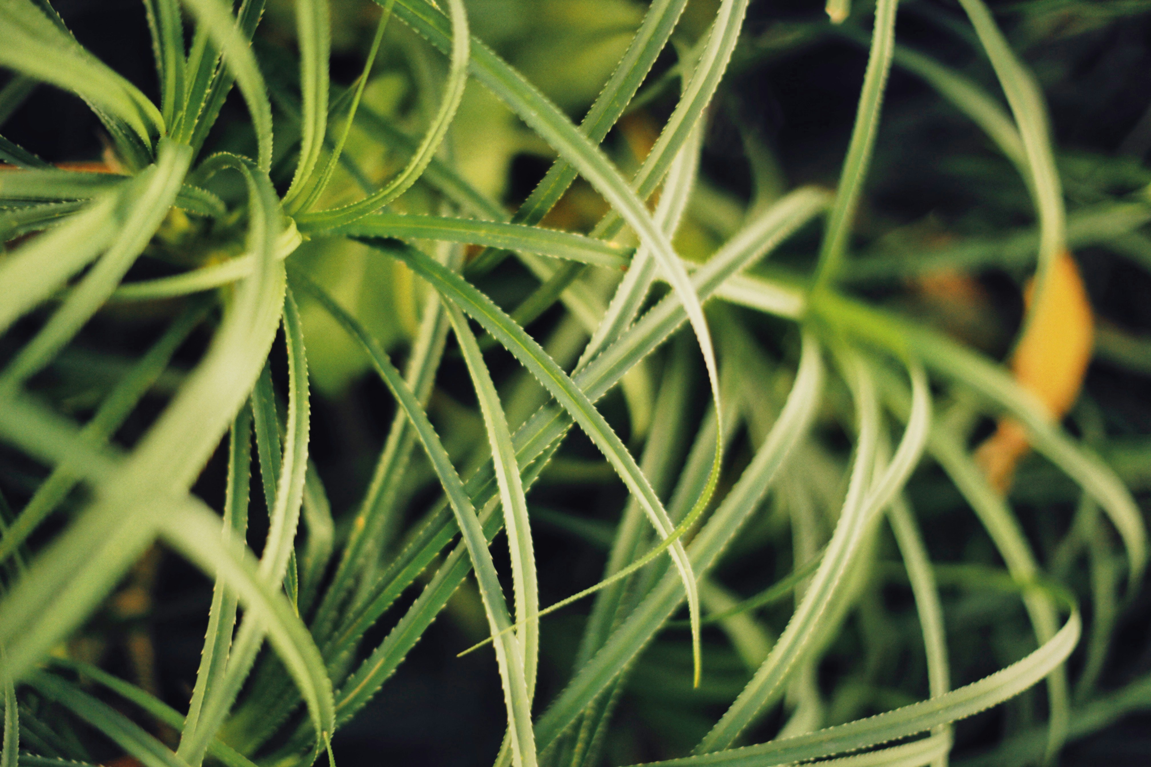 Photo by alexeydemidov