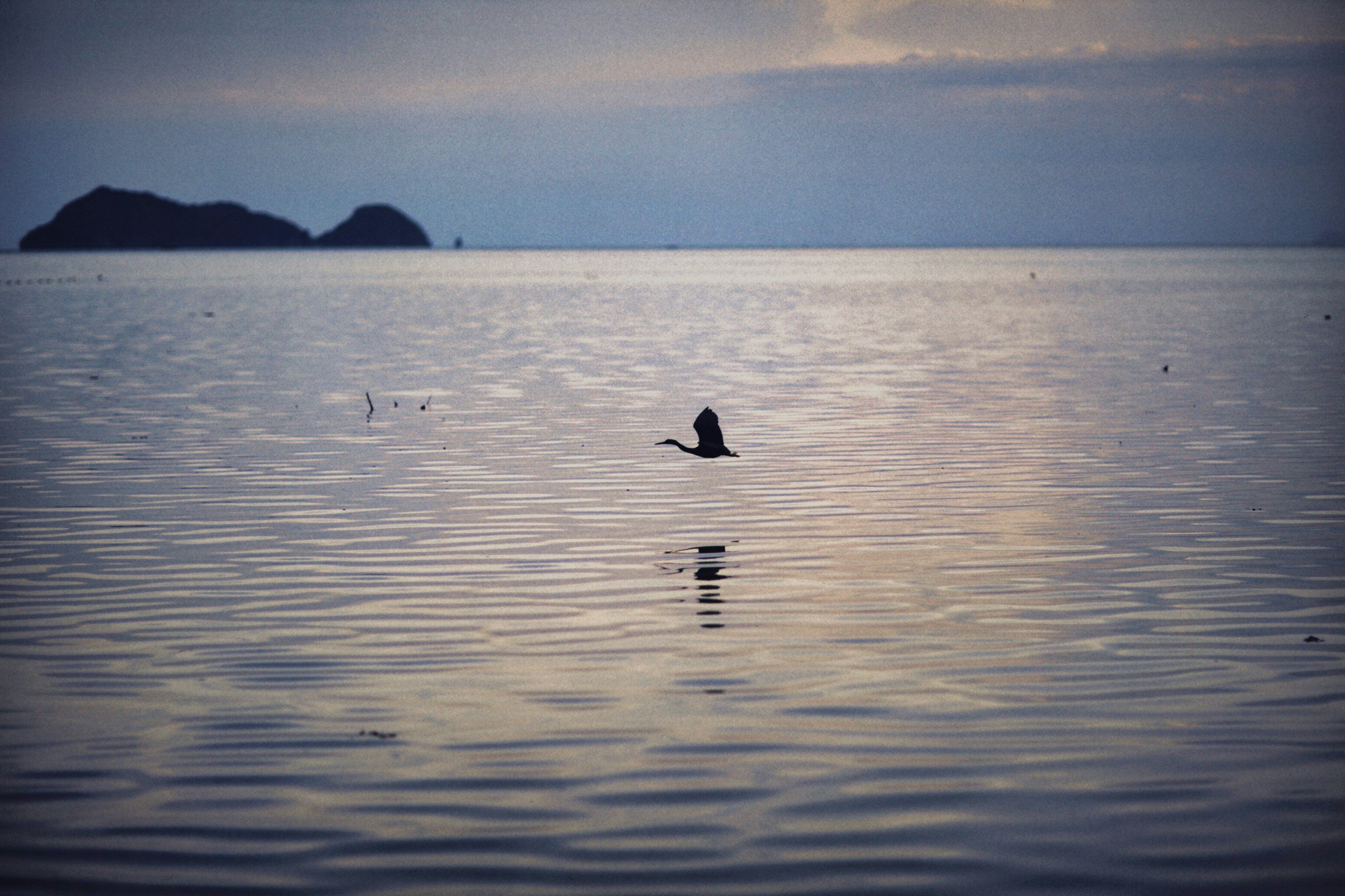 Photo by alexeydemidov