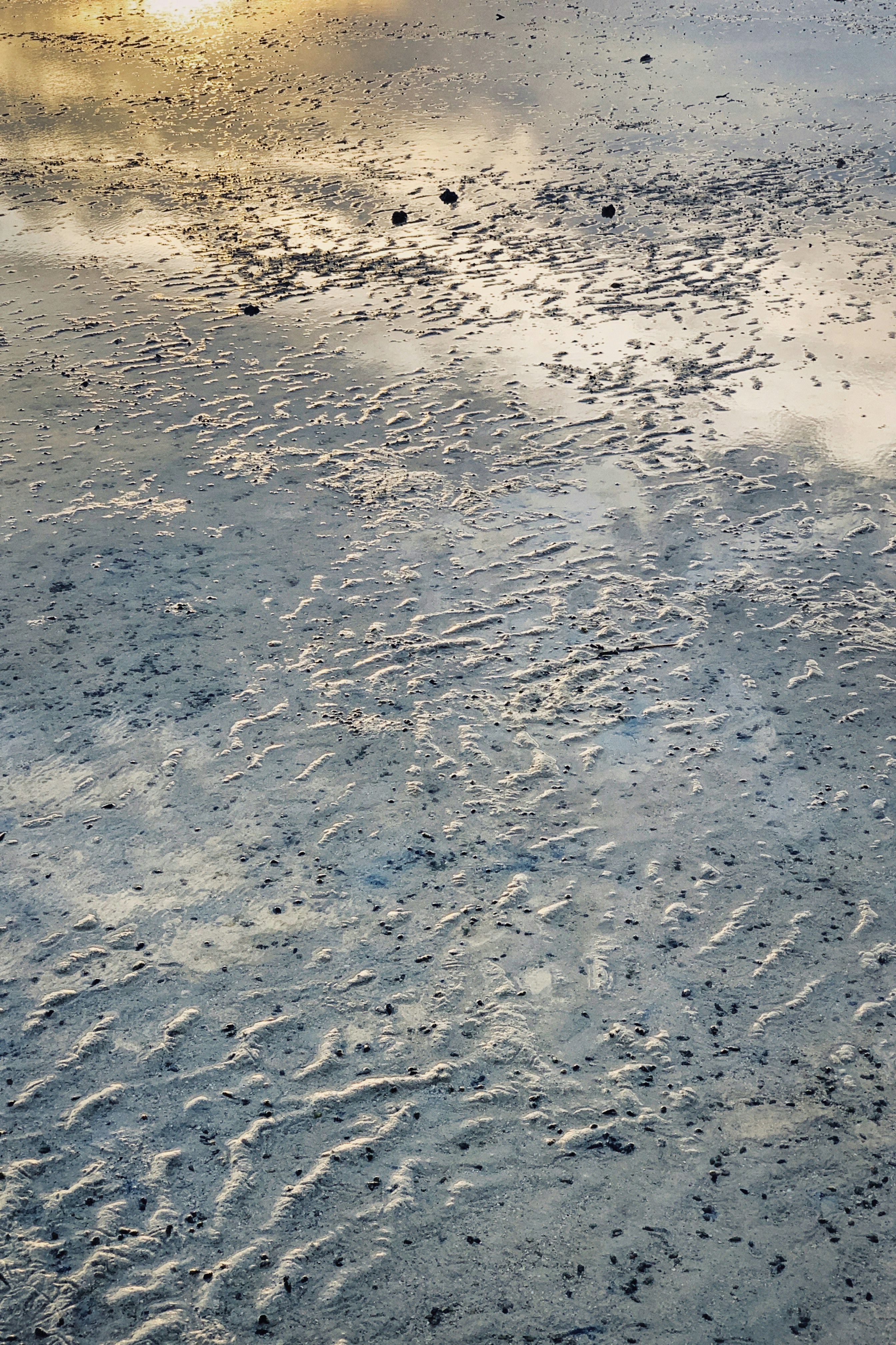 Photo by alexeydemidov