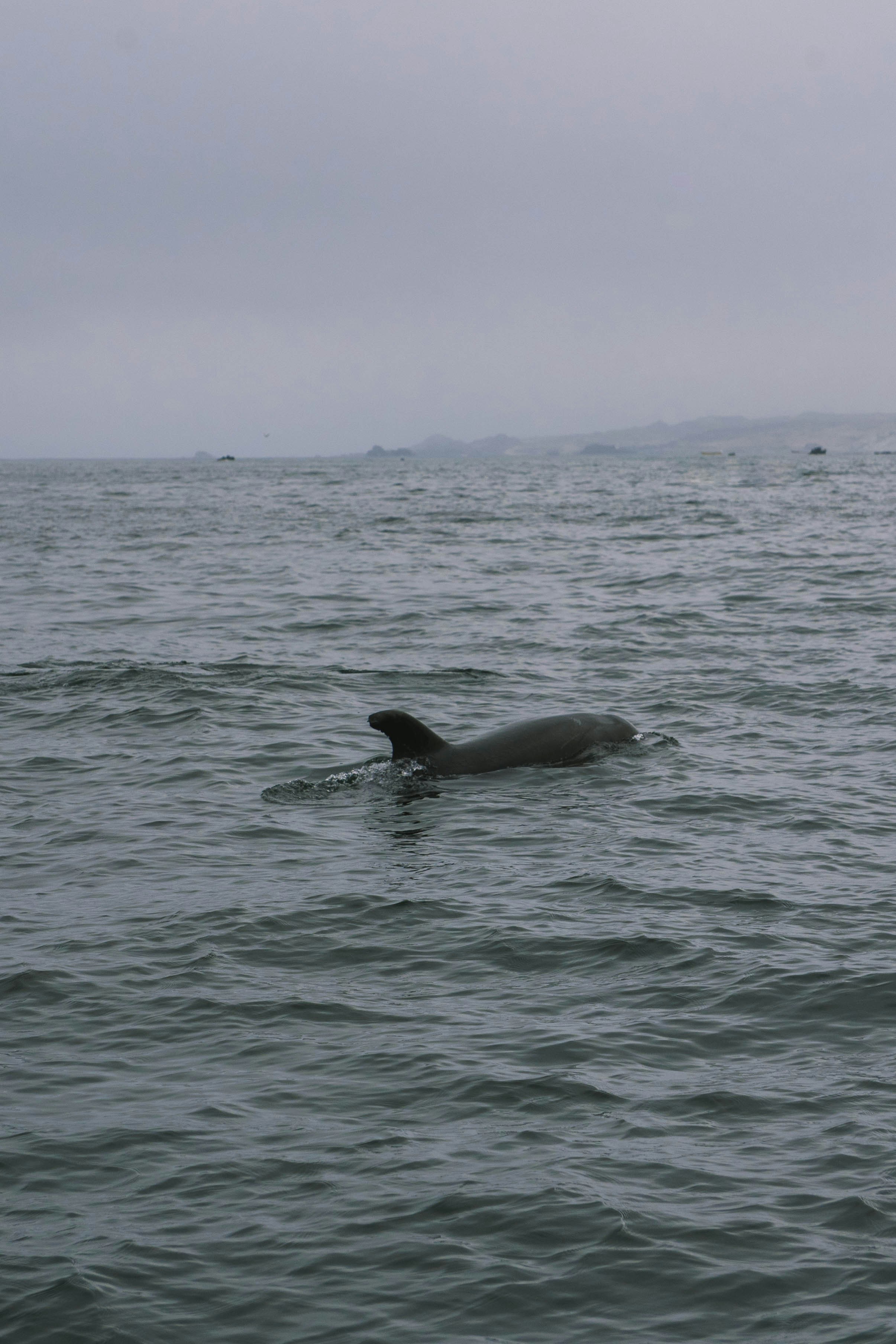 Photo by javideografia