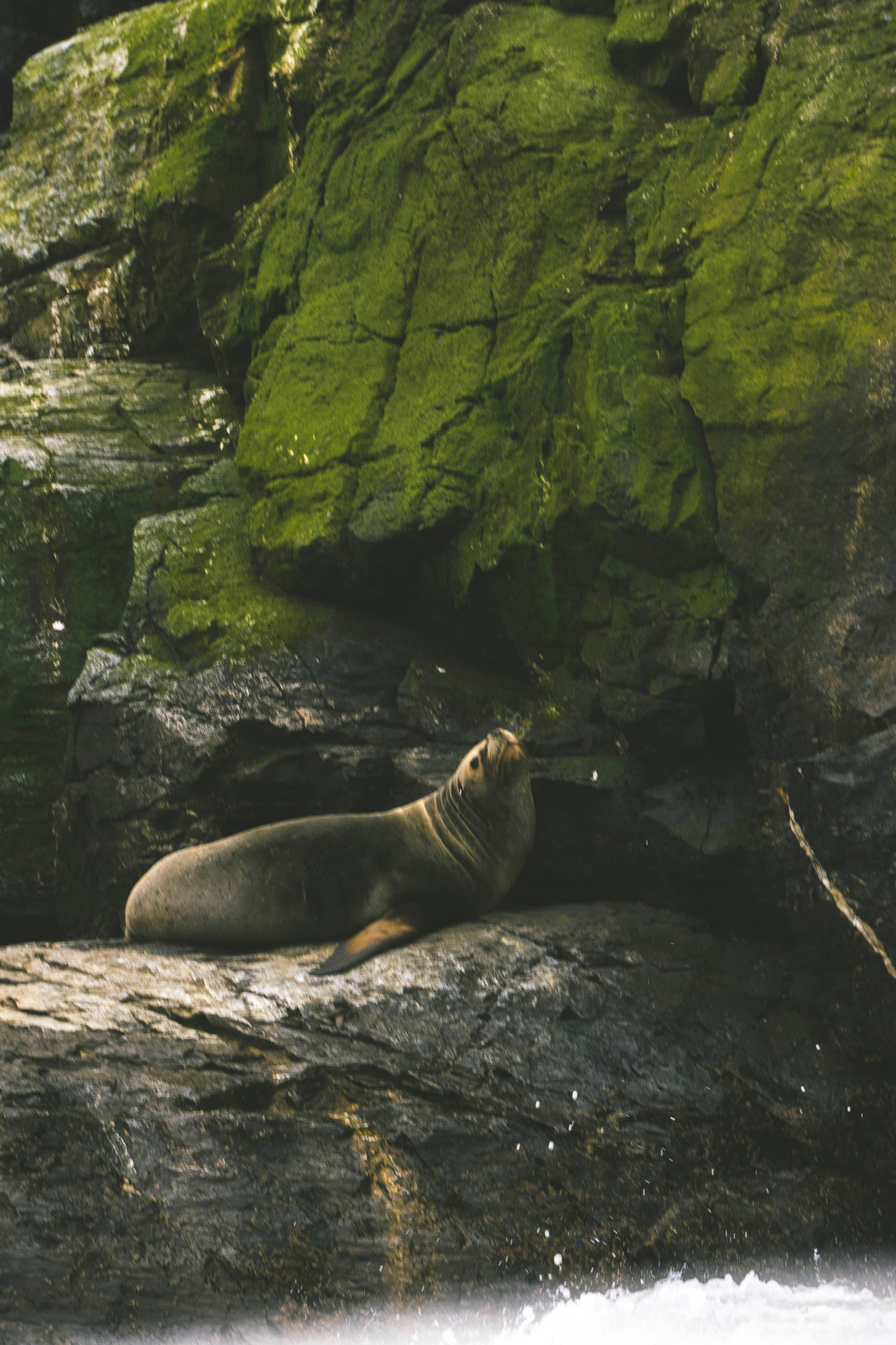 Photo by javideografia