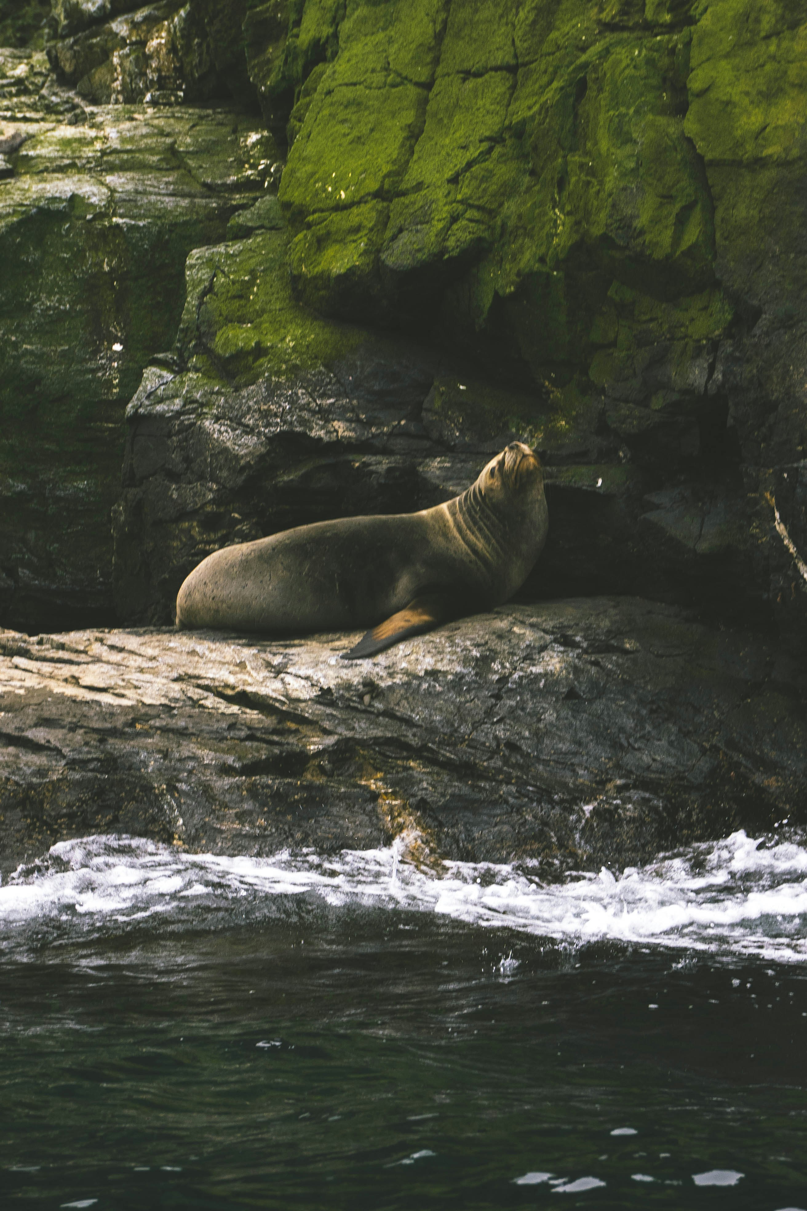 Photo by javideografia