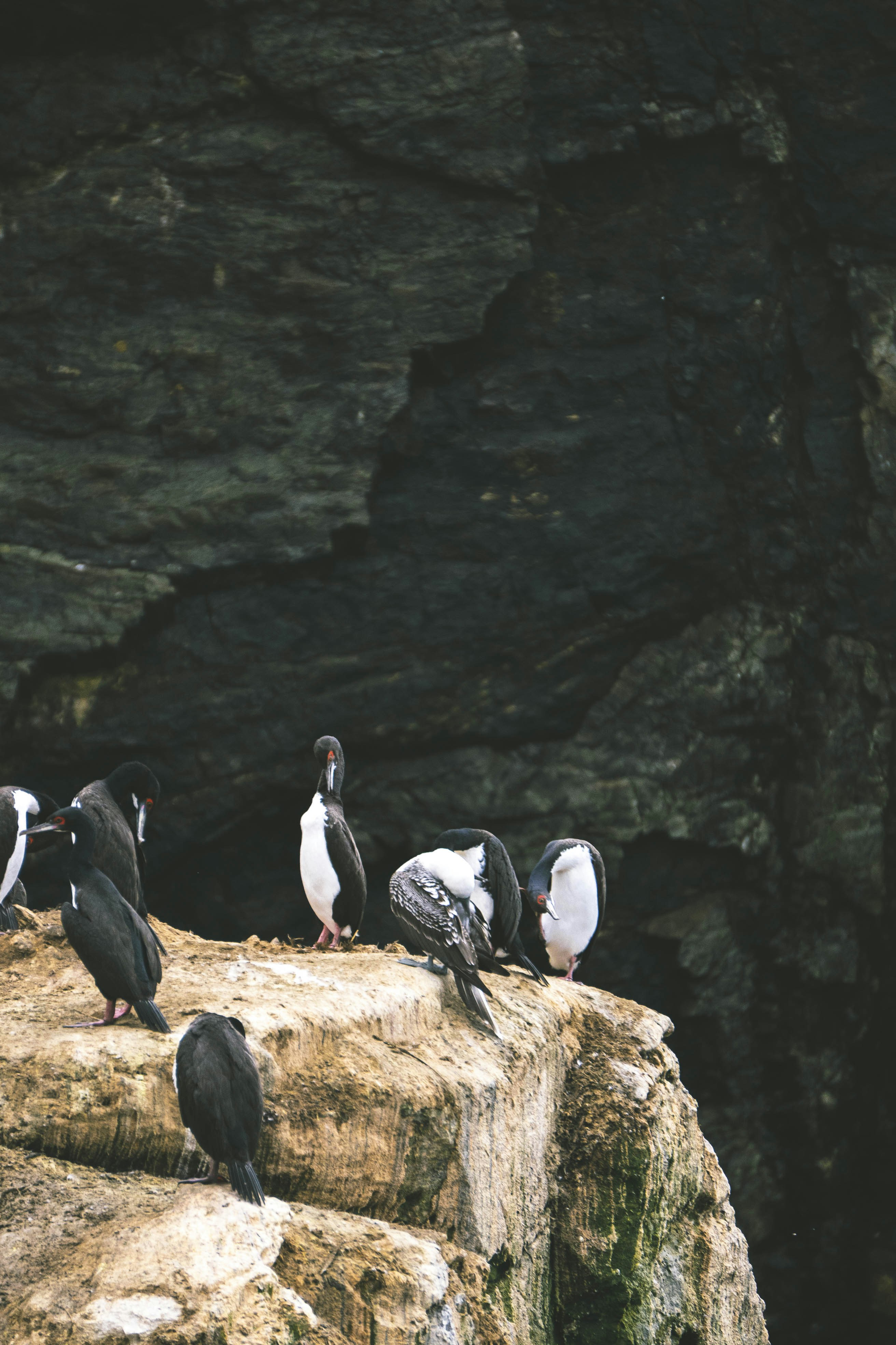 Photo by javideografia