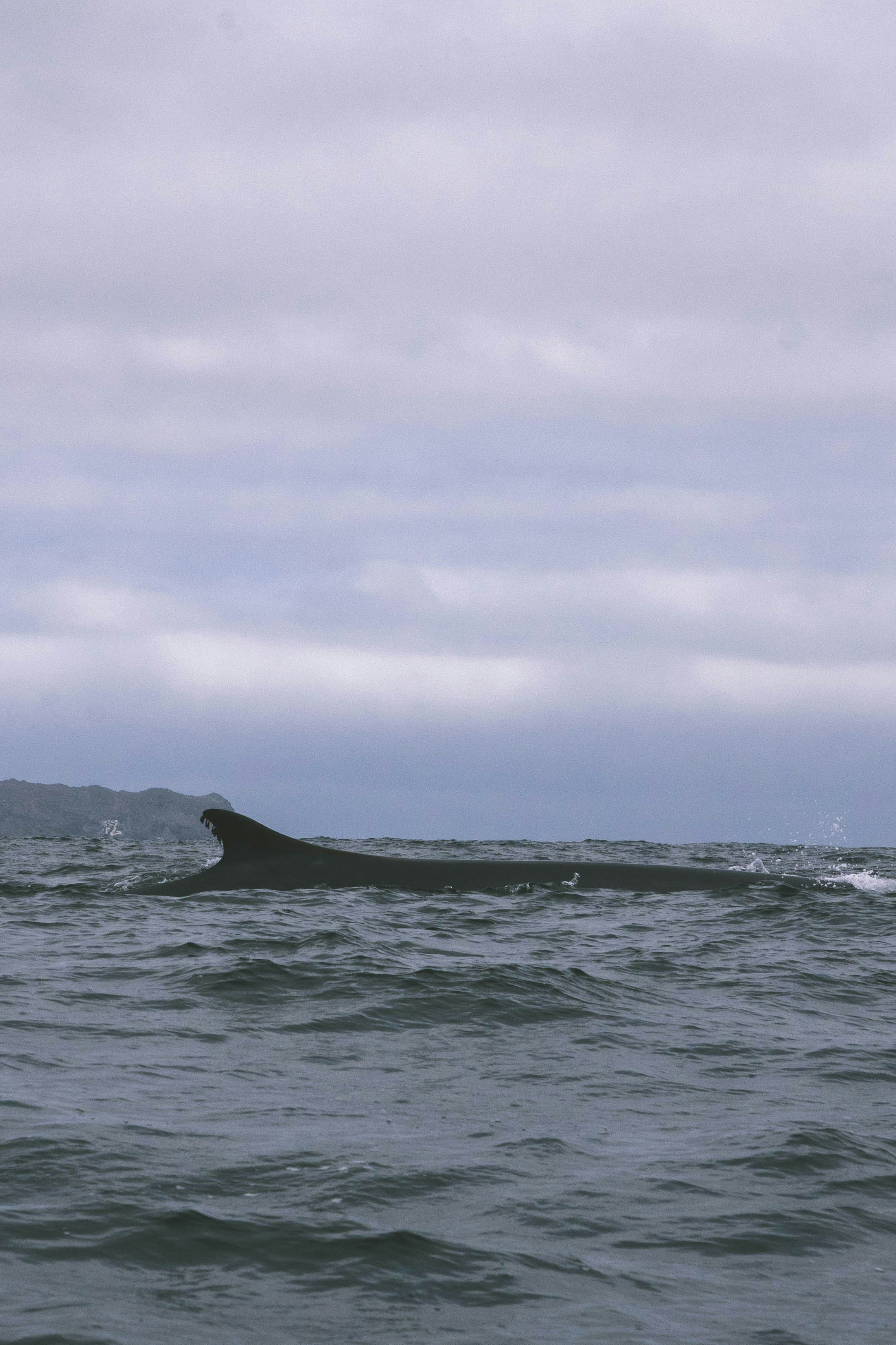 Photo by javideografia