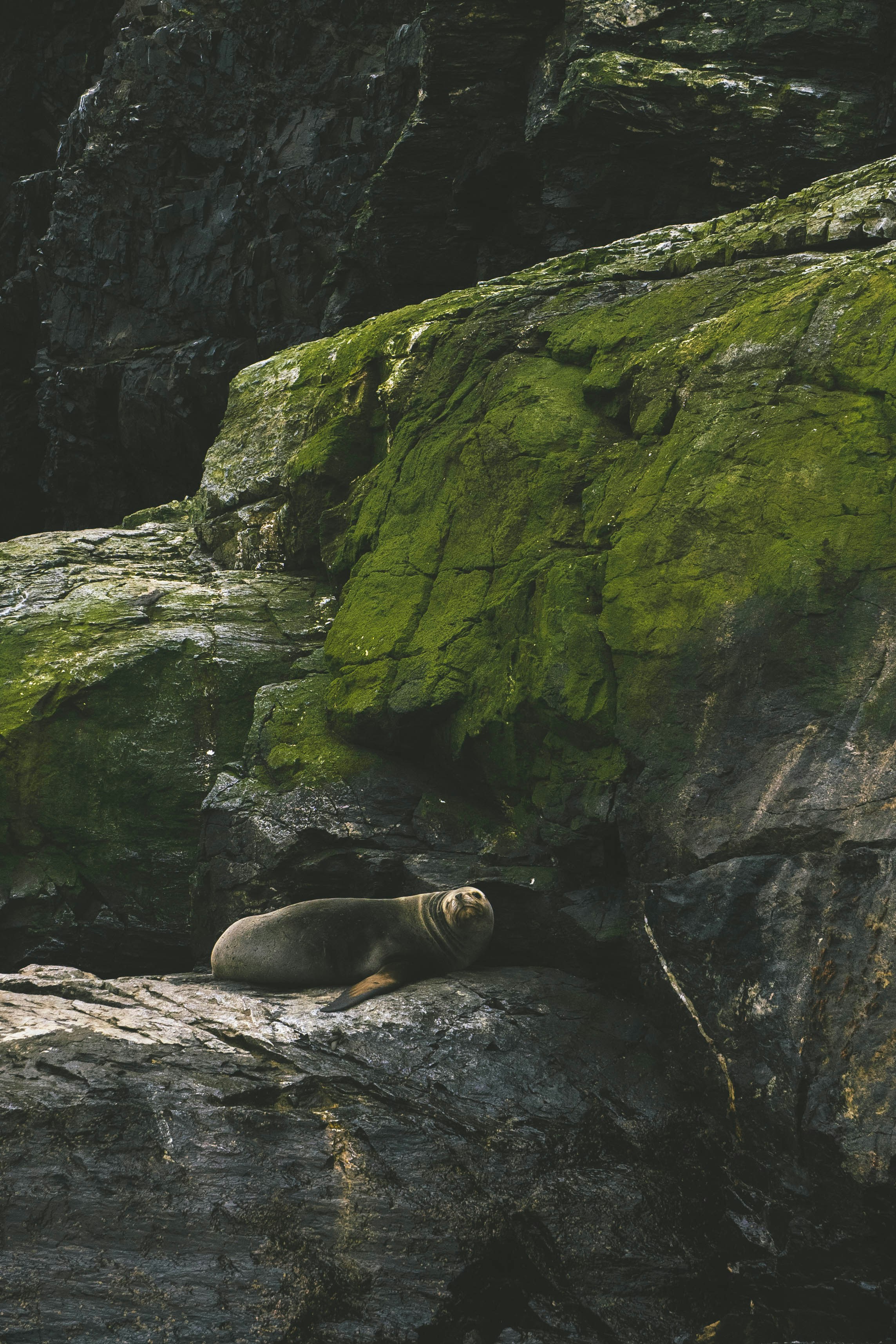 Photo by javideografia