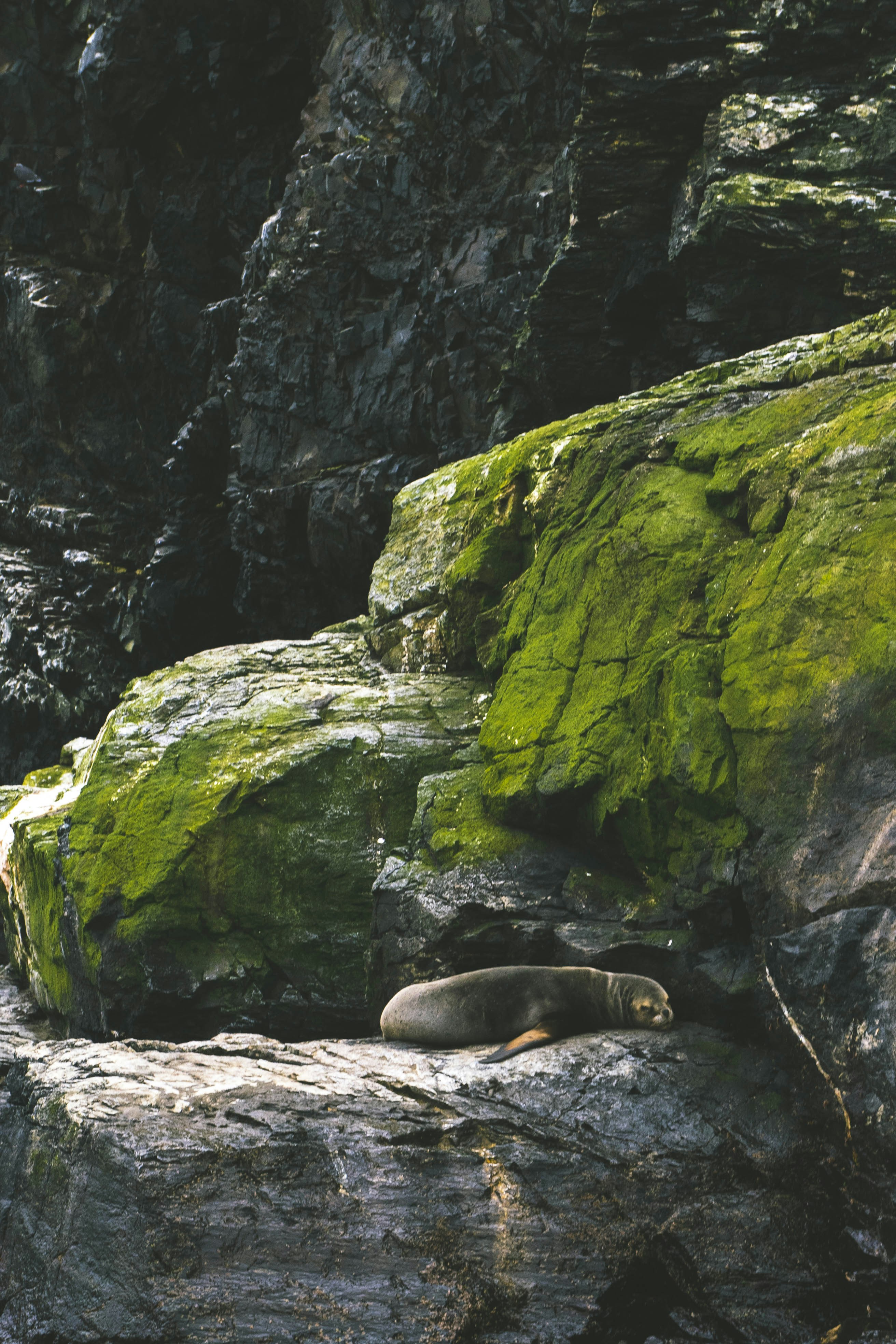 Photo by javideografia