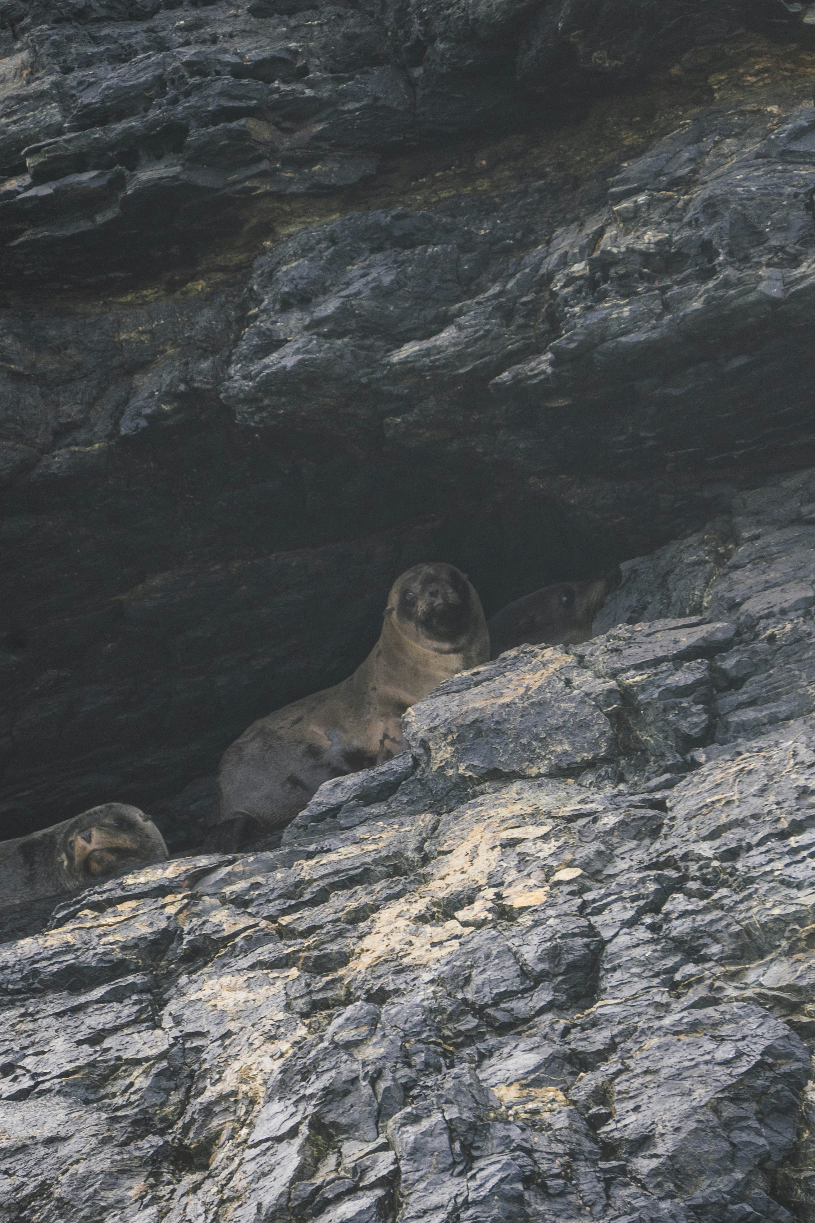 Photo by javideografia