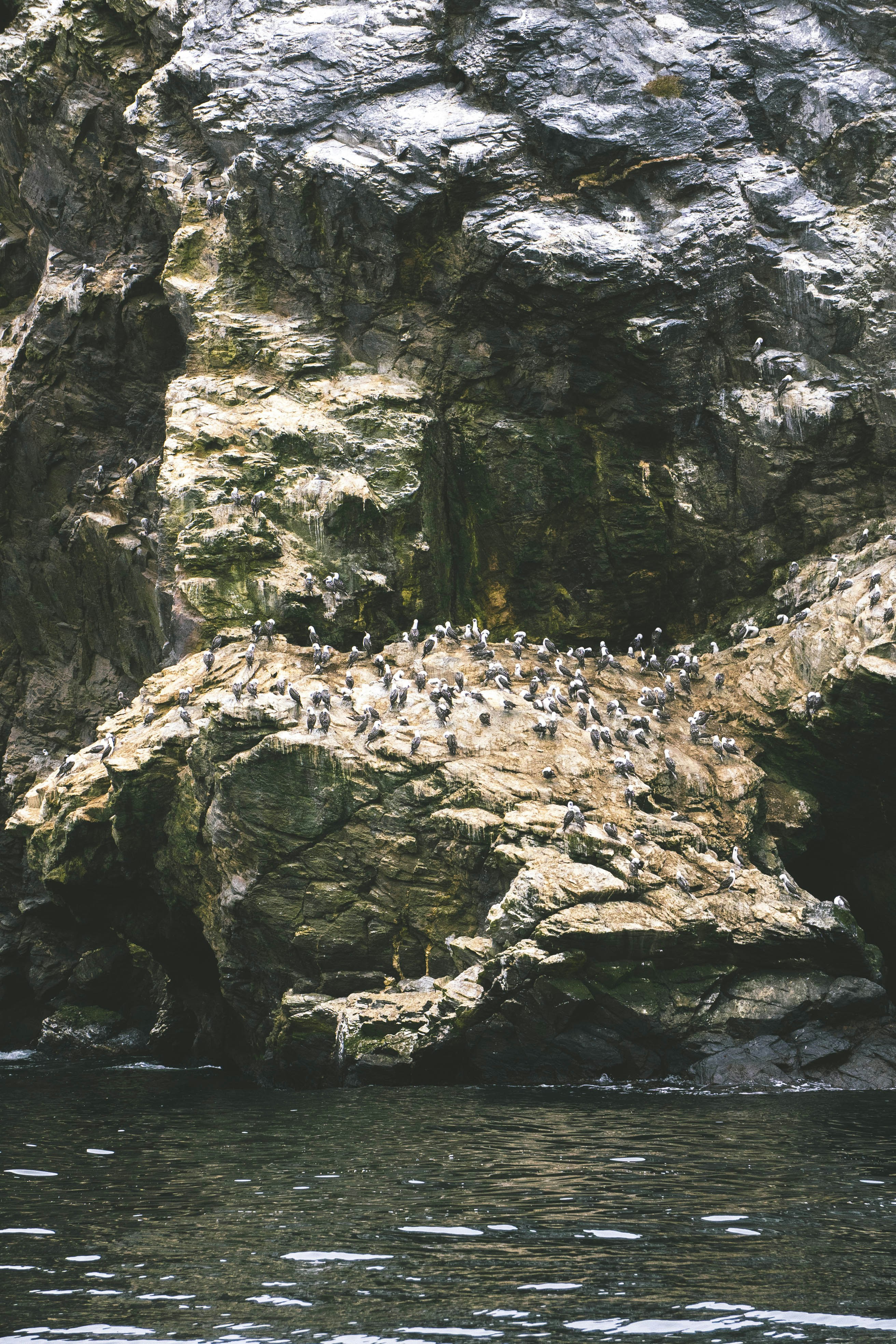 Photo by javideografia