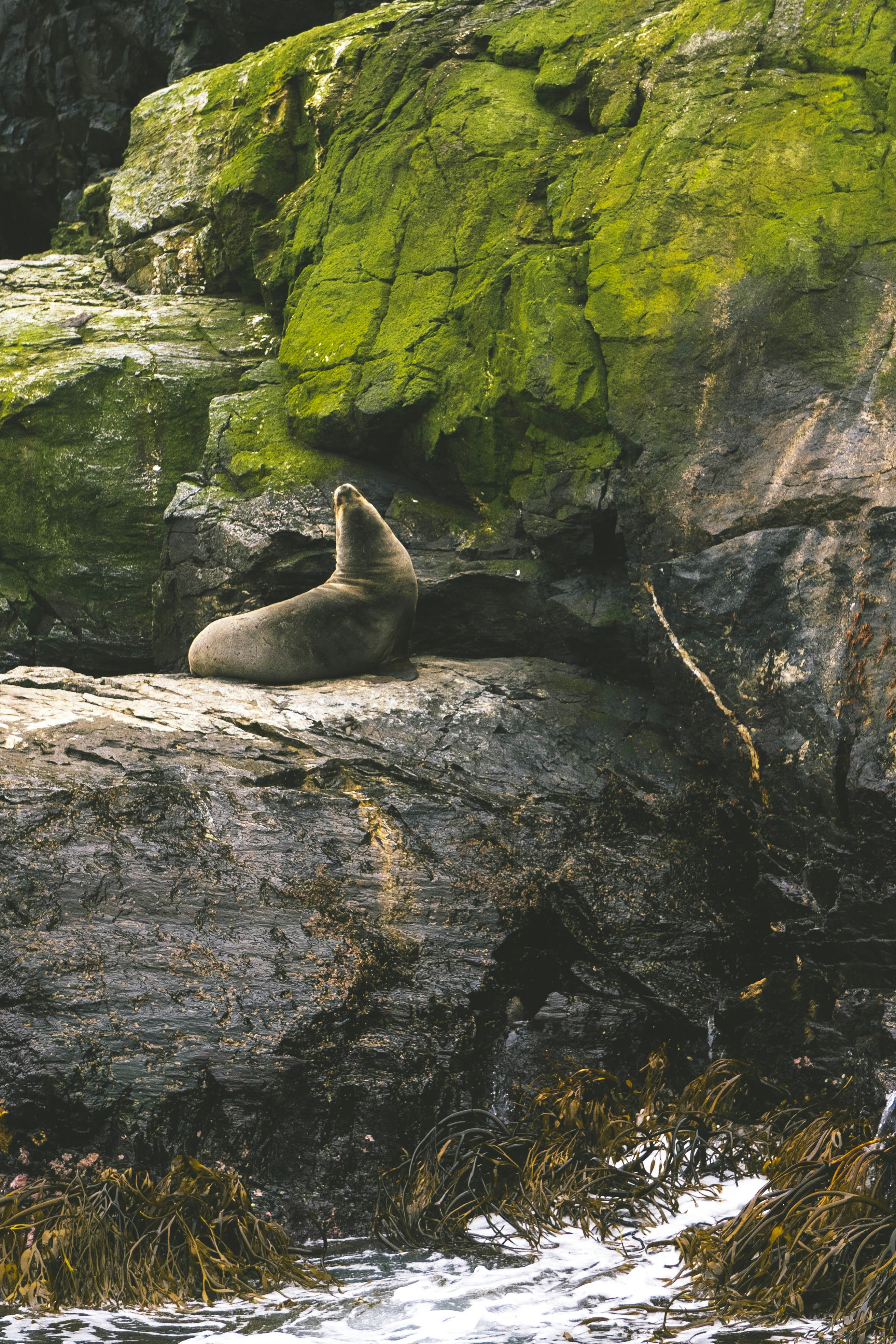 Photo by javideografia