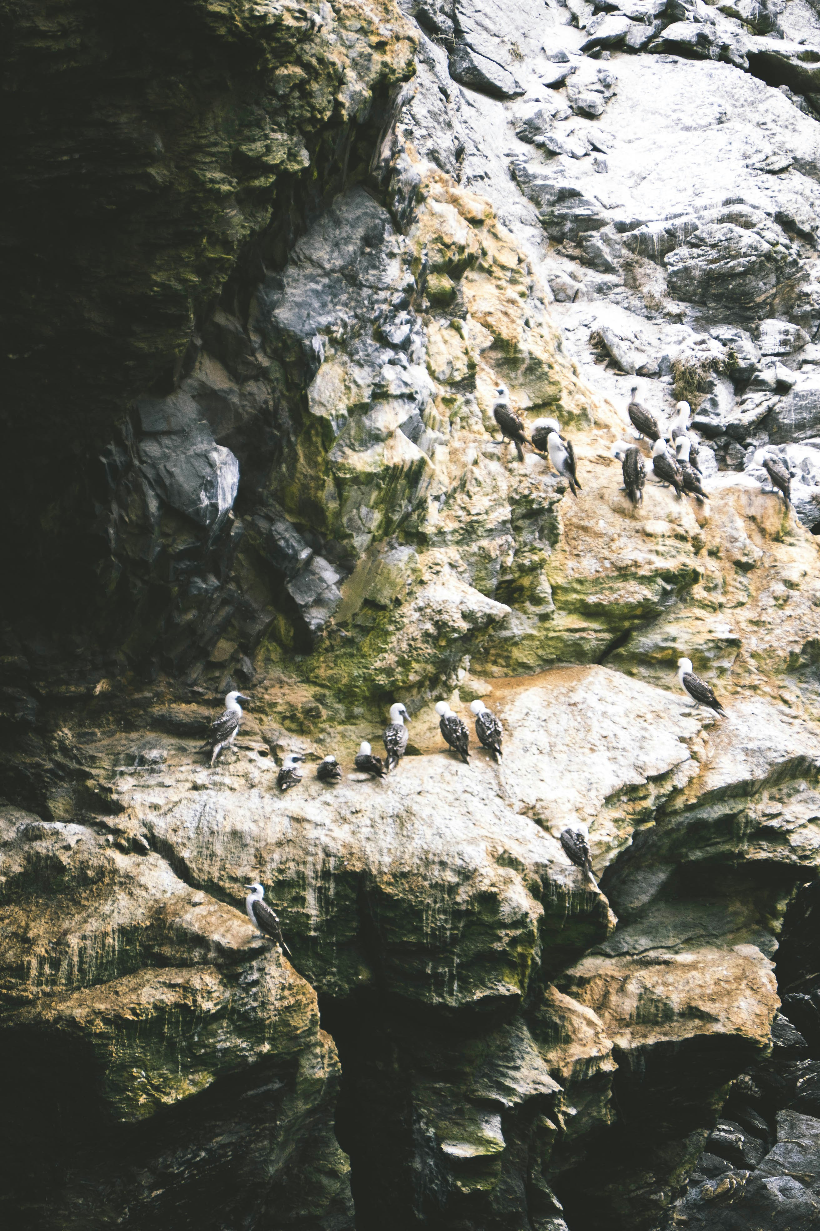 Photo by javideografia