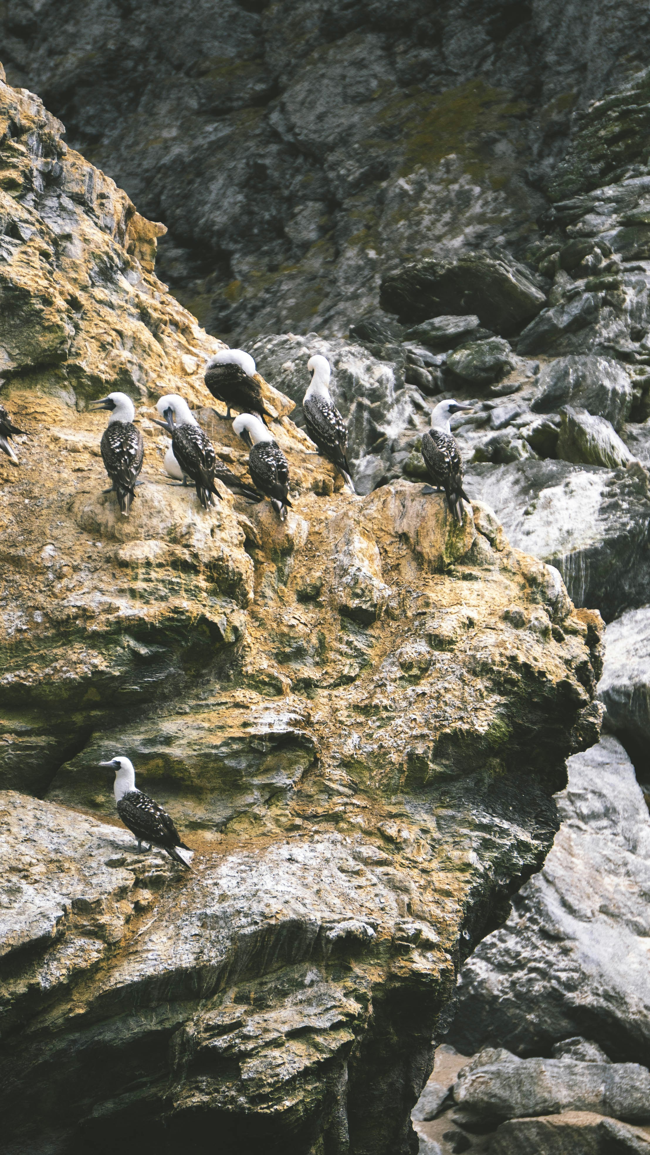 Photo by javideografia