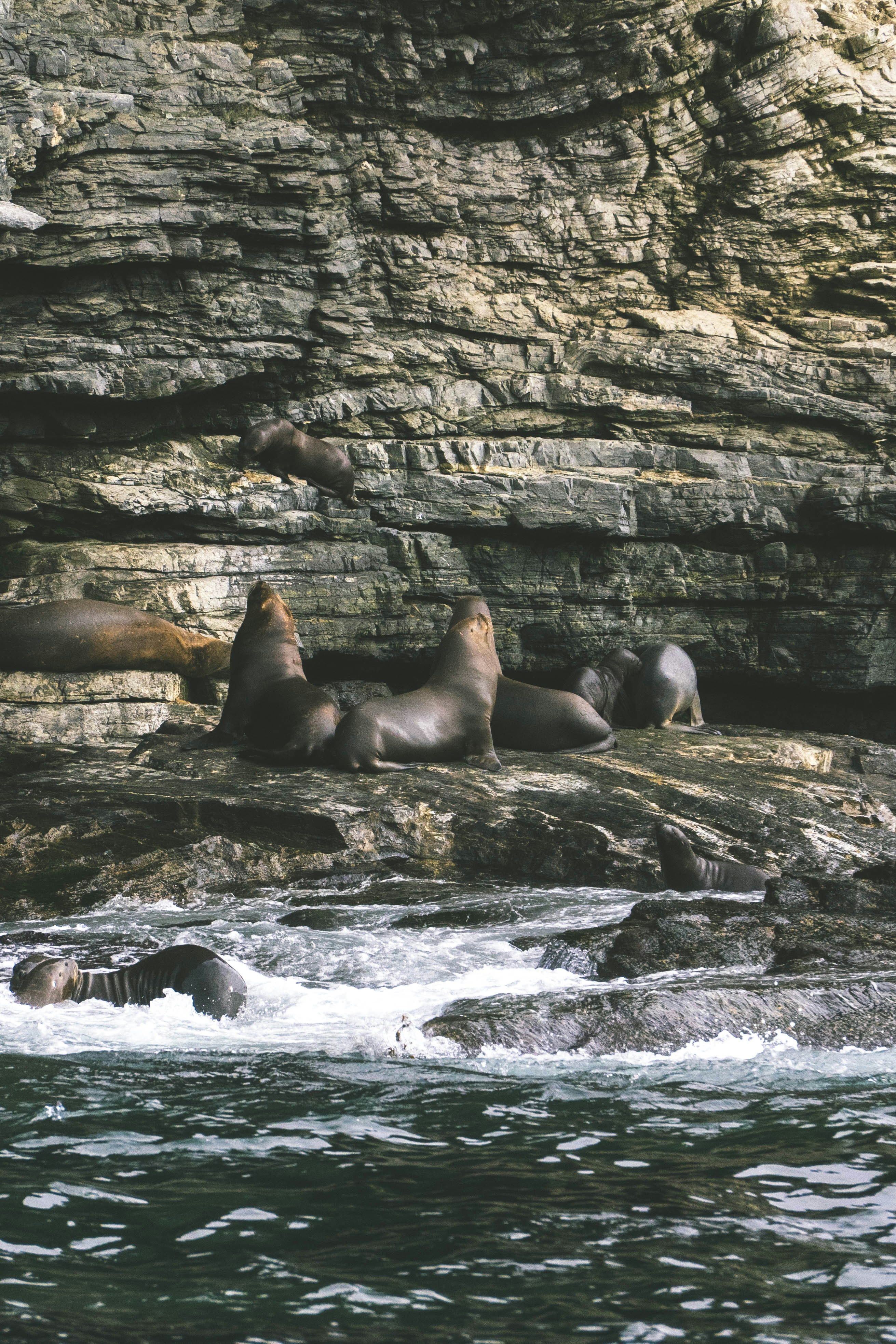 Photo by javideografia