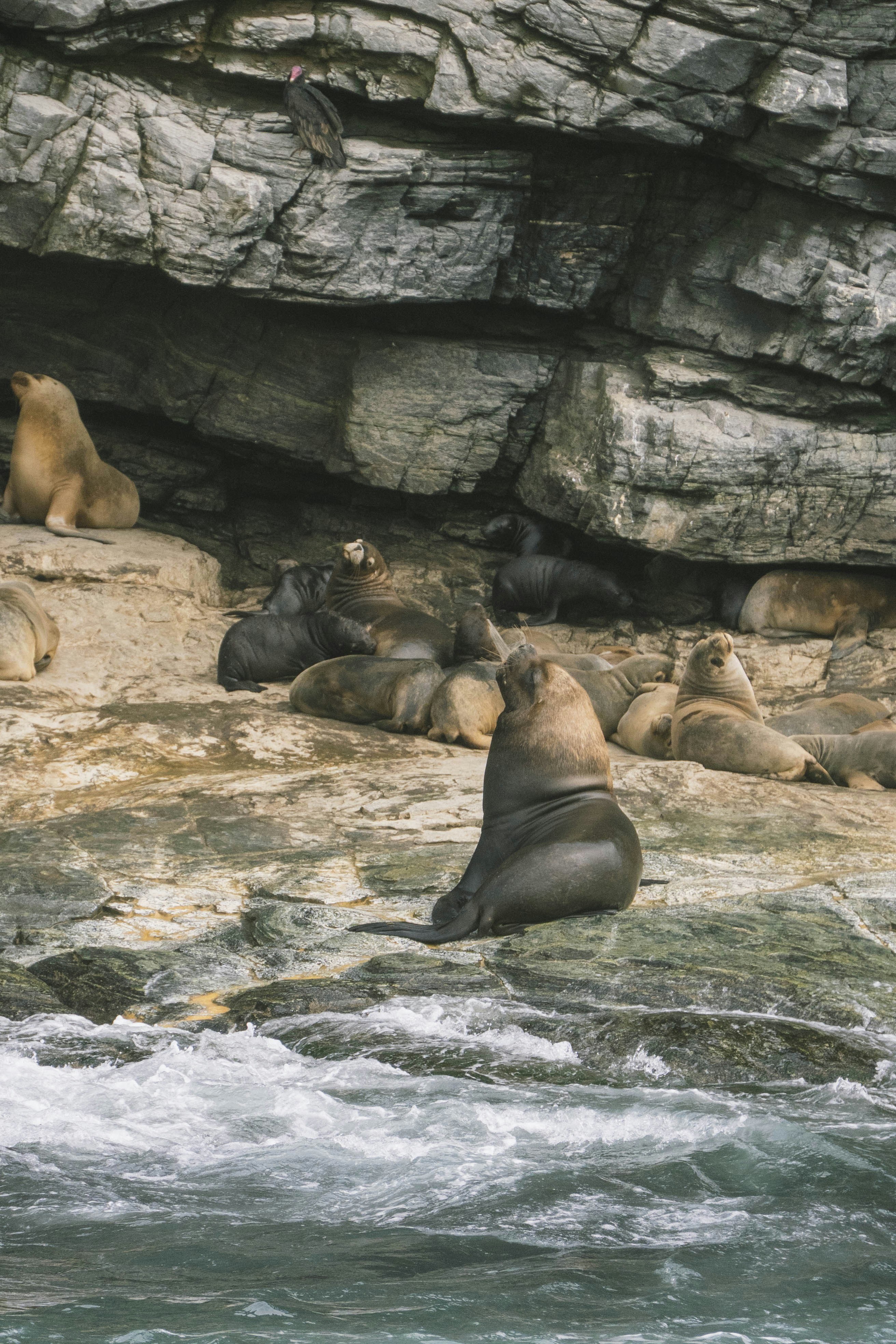 Photo by javideografia