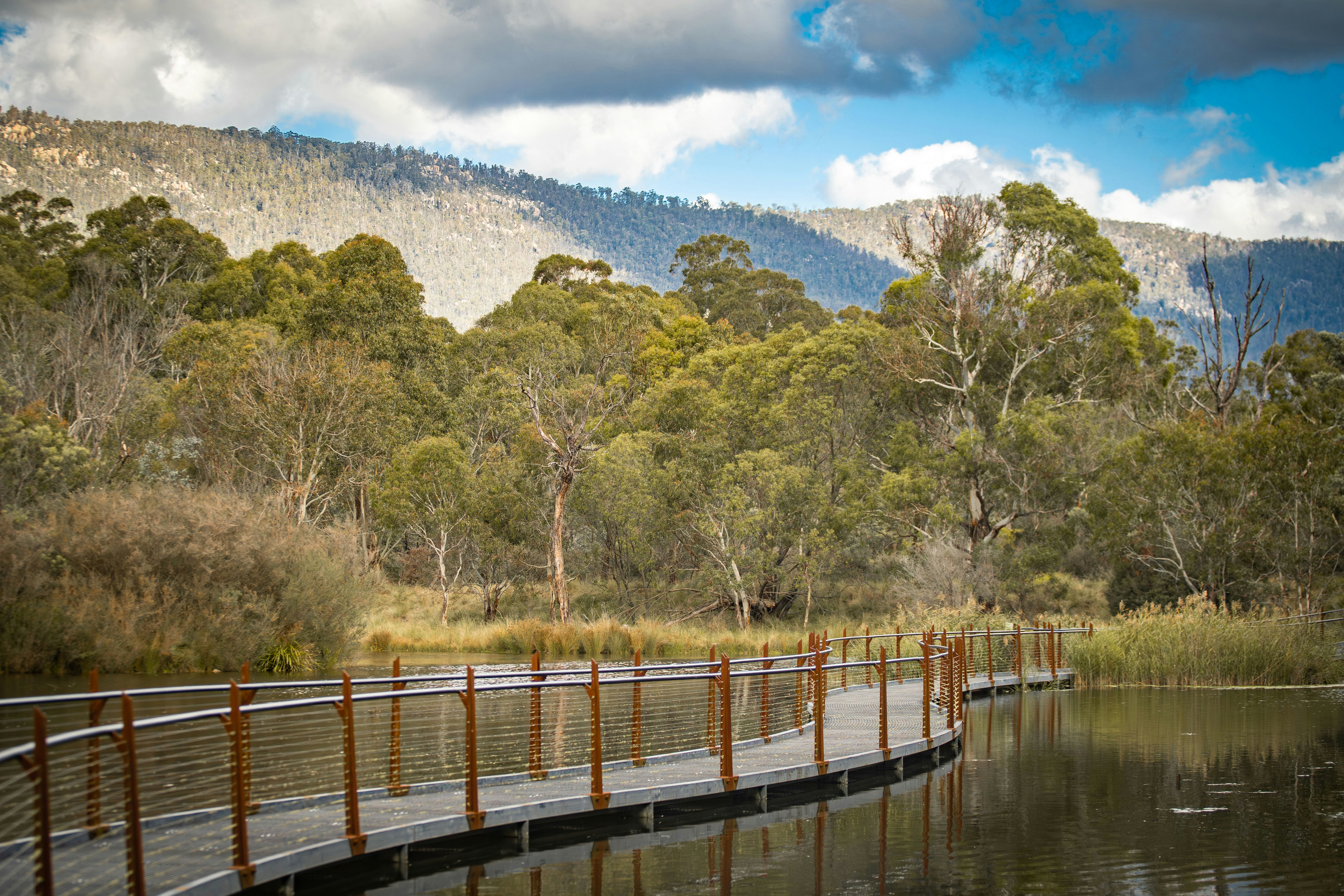 Belgrave Drainage Reserve