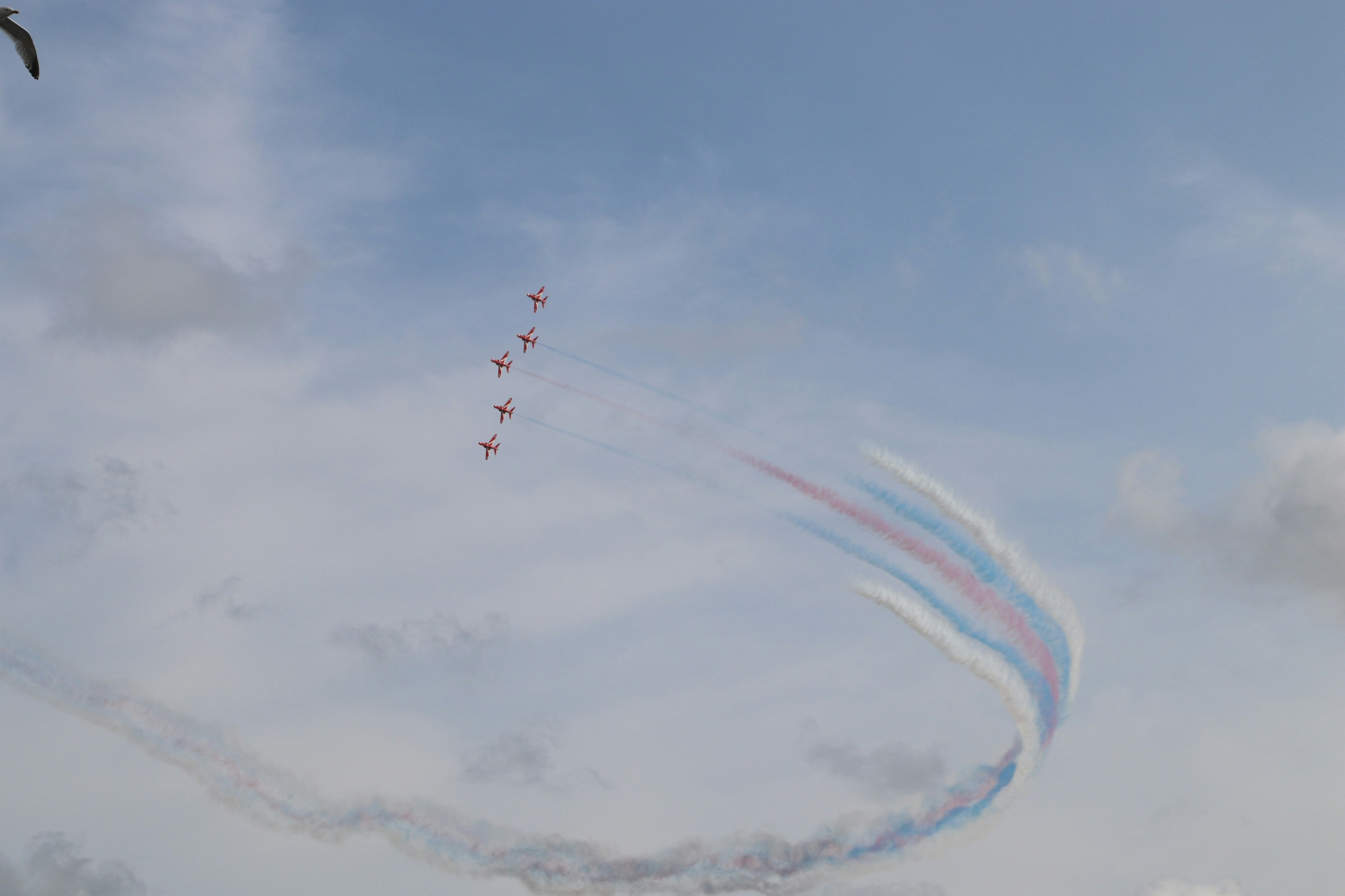 Photo by tanyabarrow