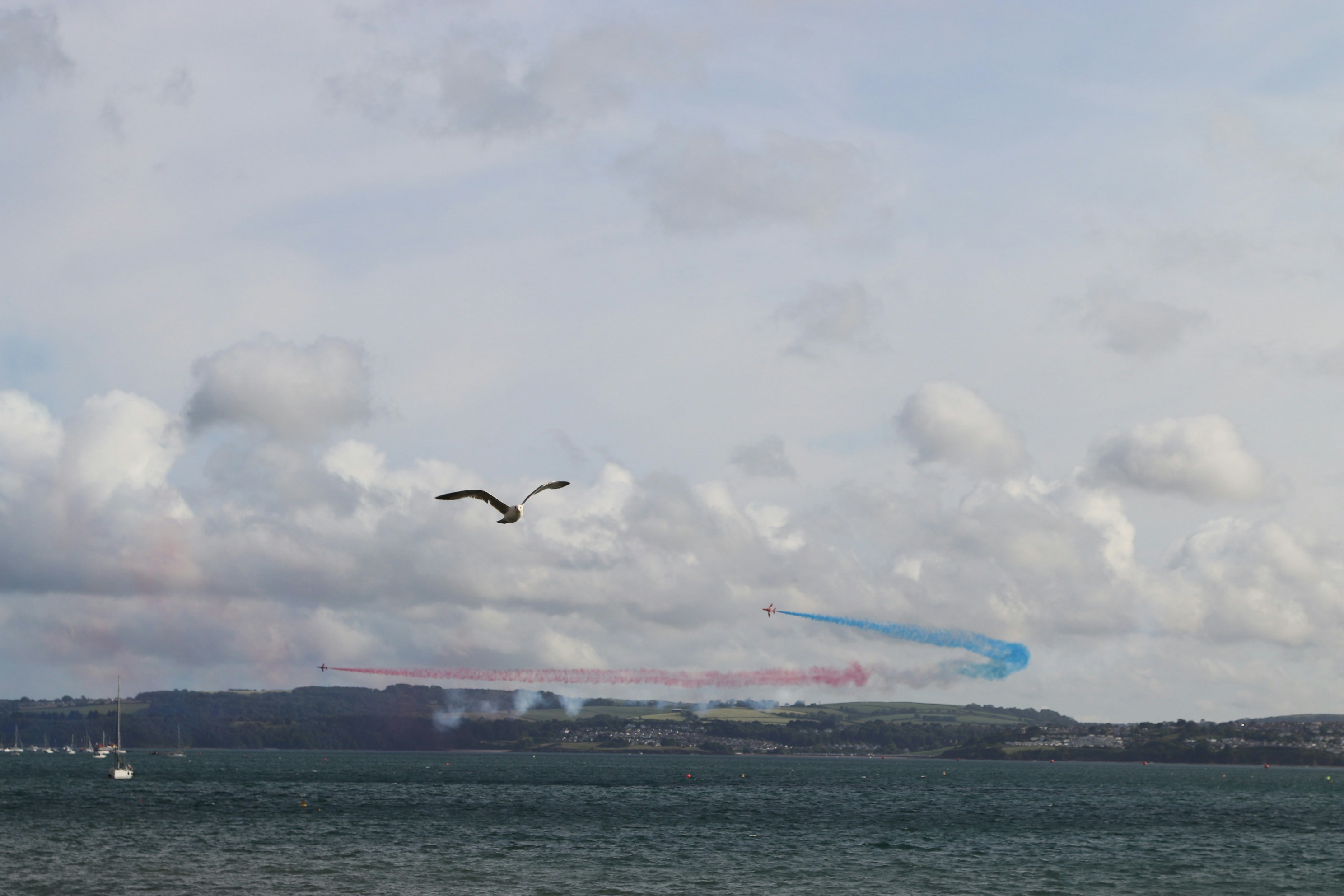 Photo by tanyabarrow