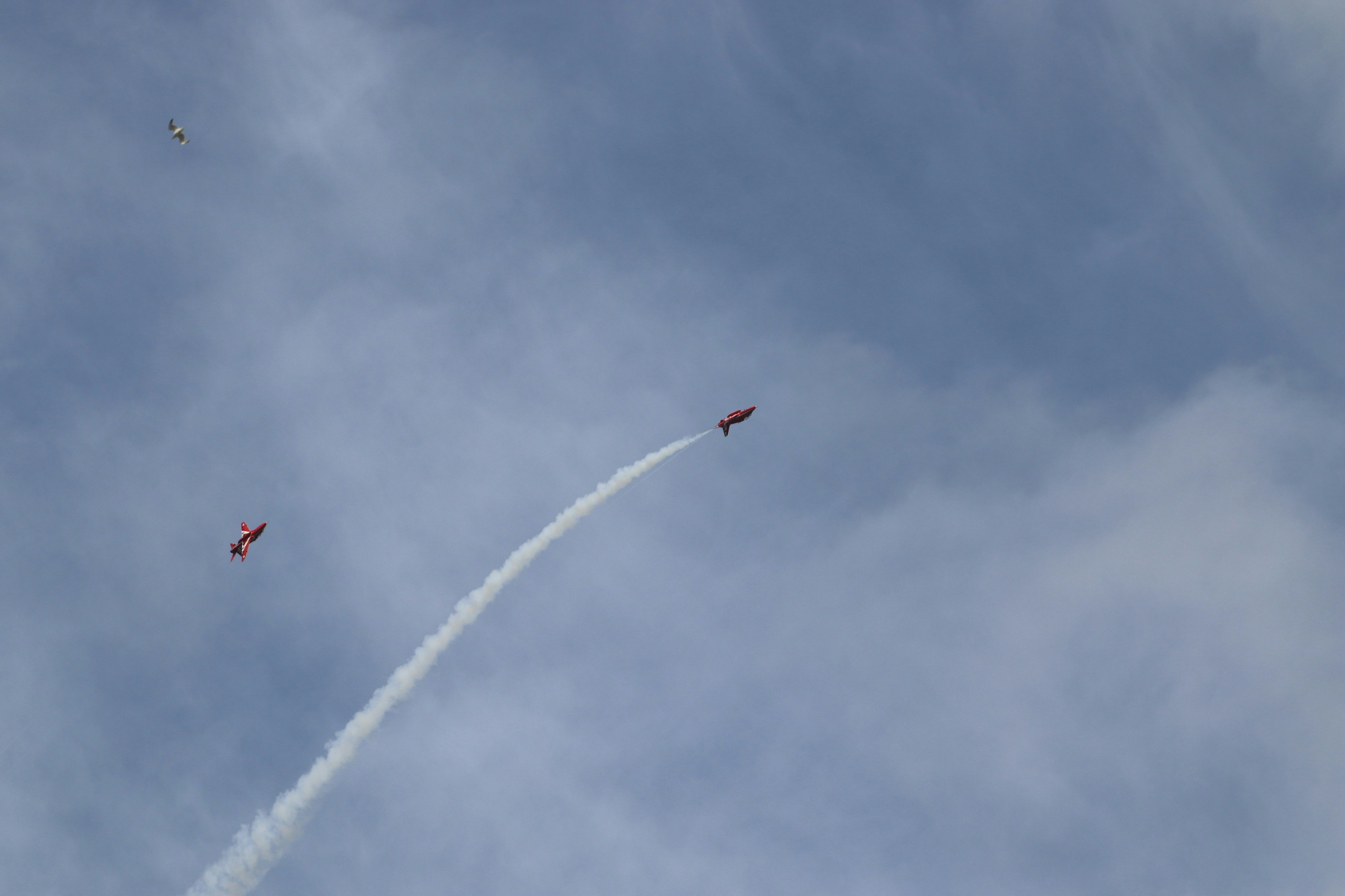 Photo by tanyabarrow