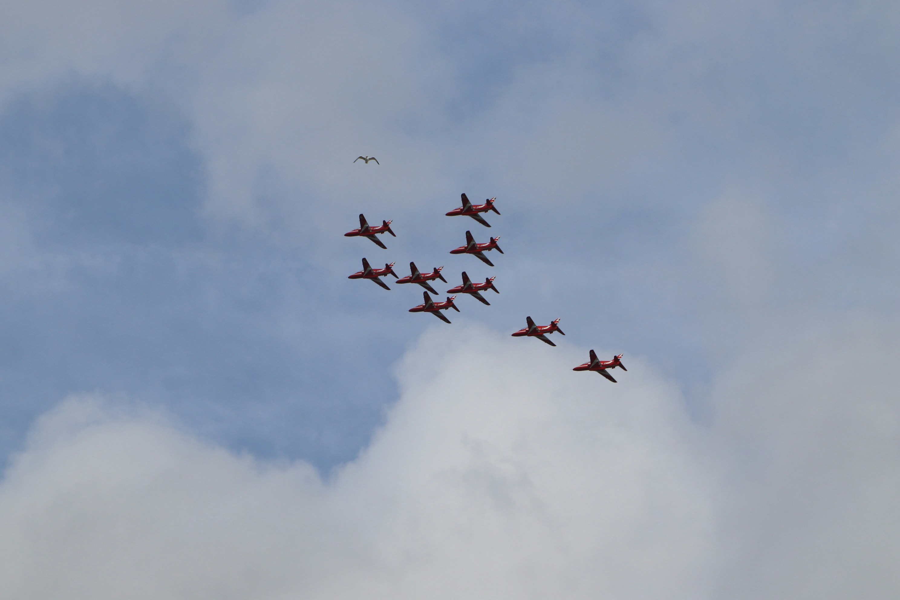 Photo by tanyabarrow