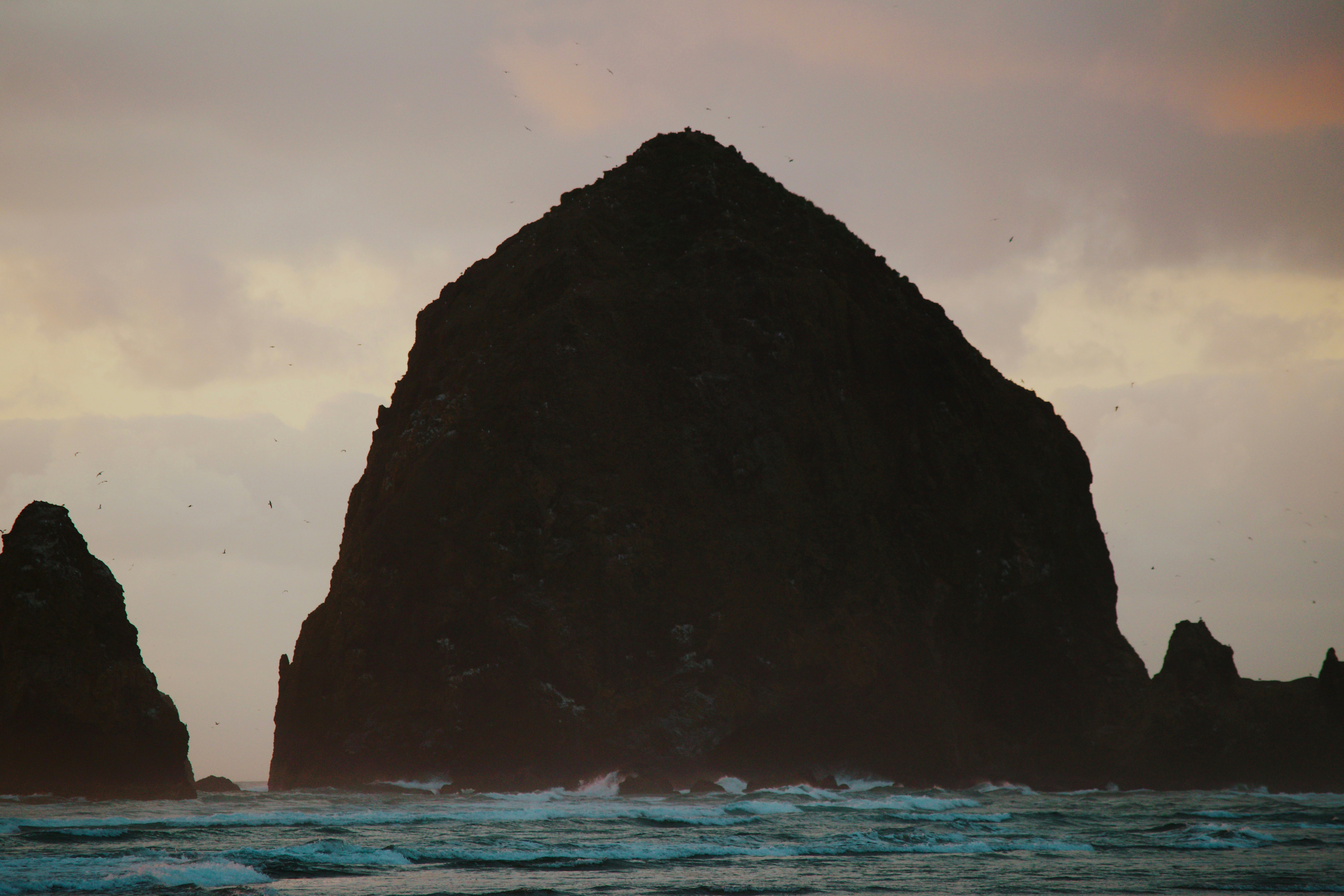 Photo by marshalliden124