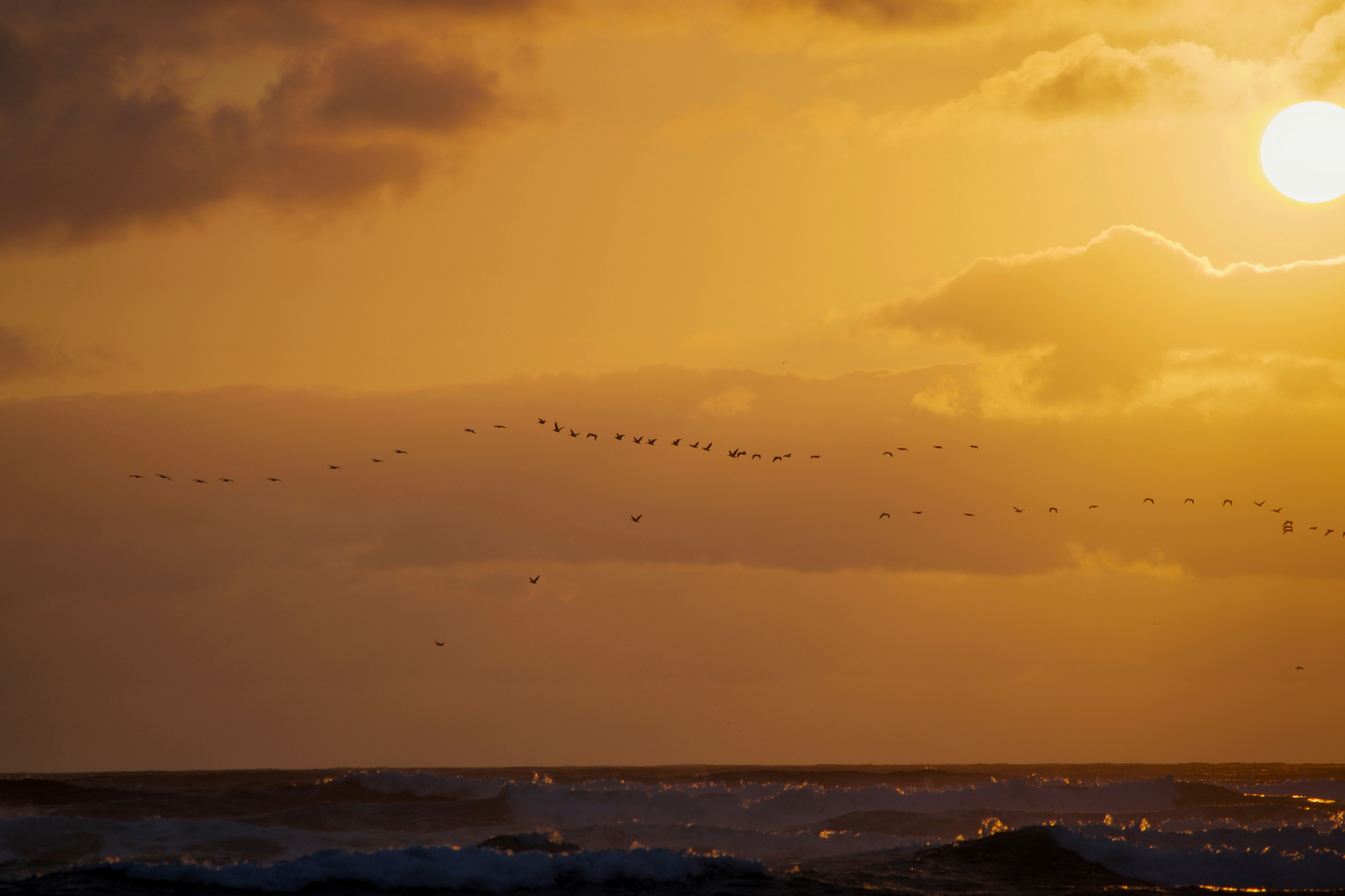 Photo by marshalliden124