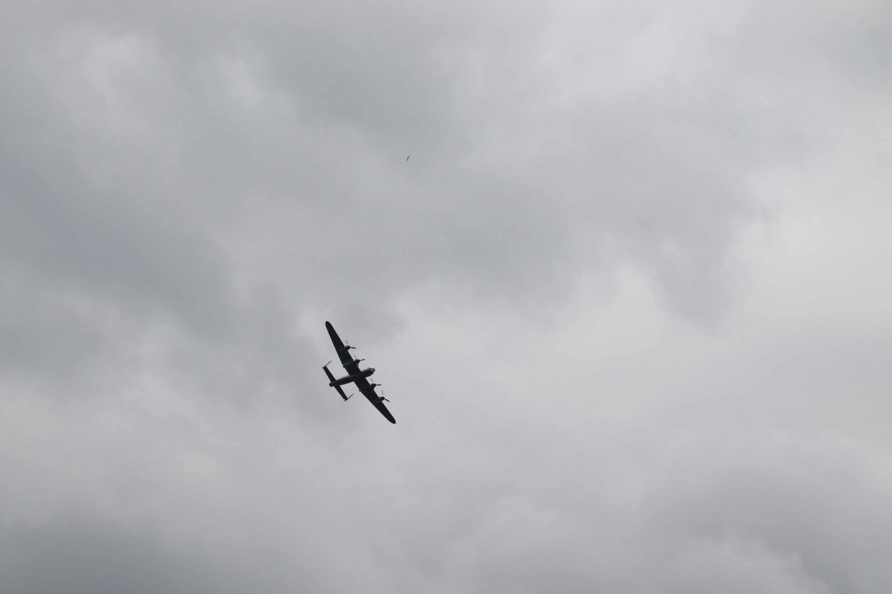 Photo by tanyabarrow