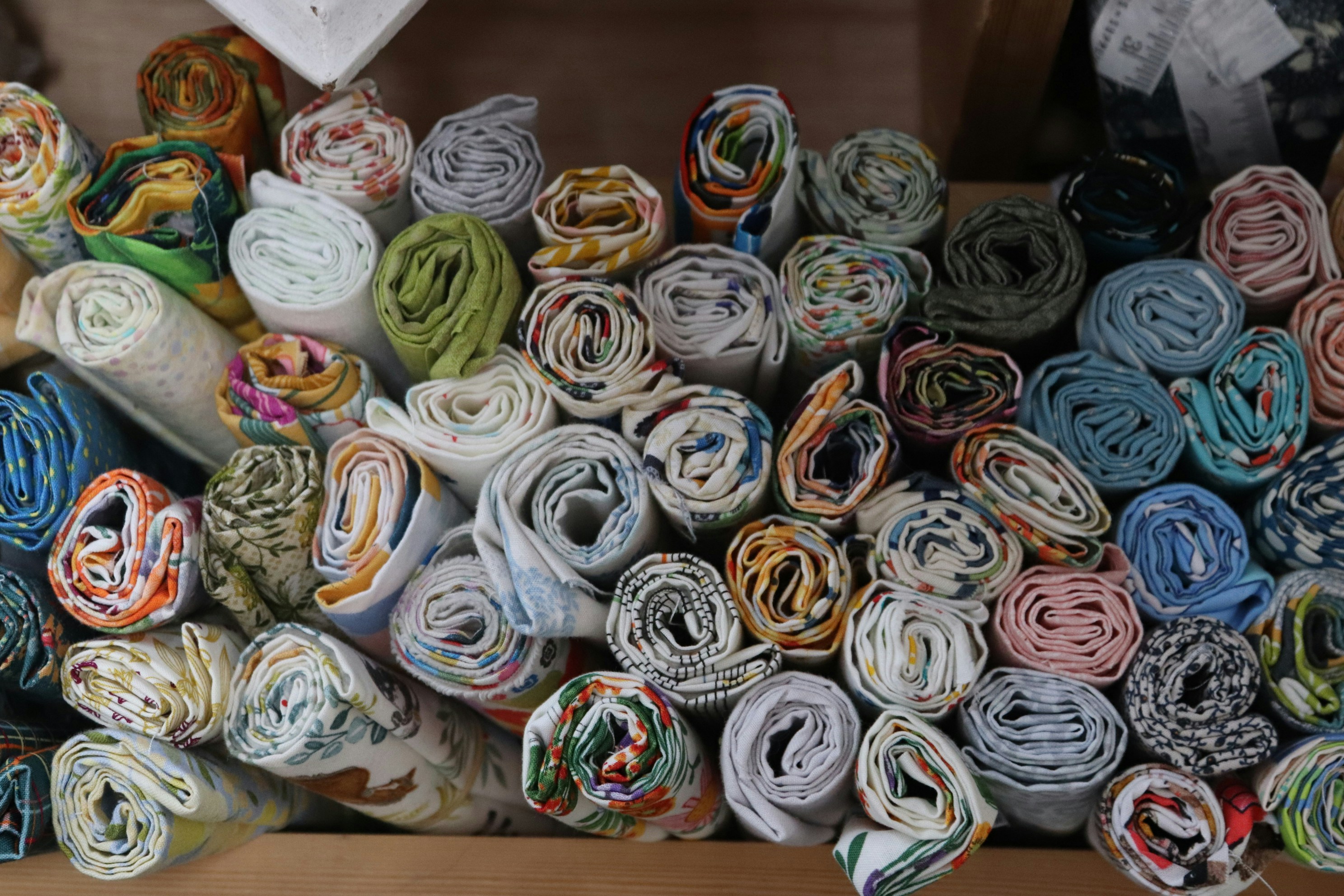 Photo by tanyabarrow