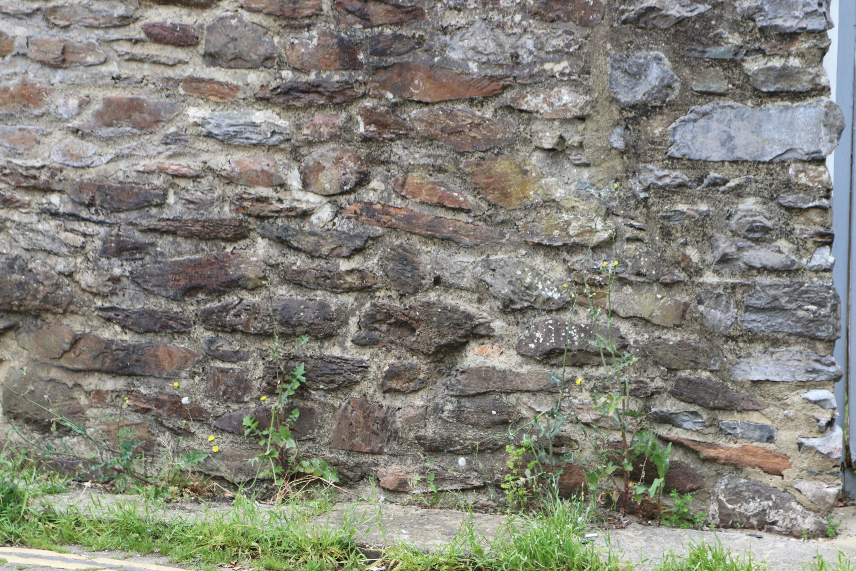 Photo by tanyabarrow