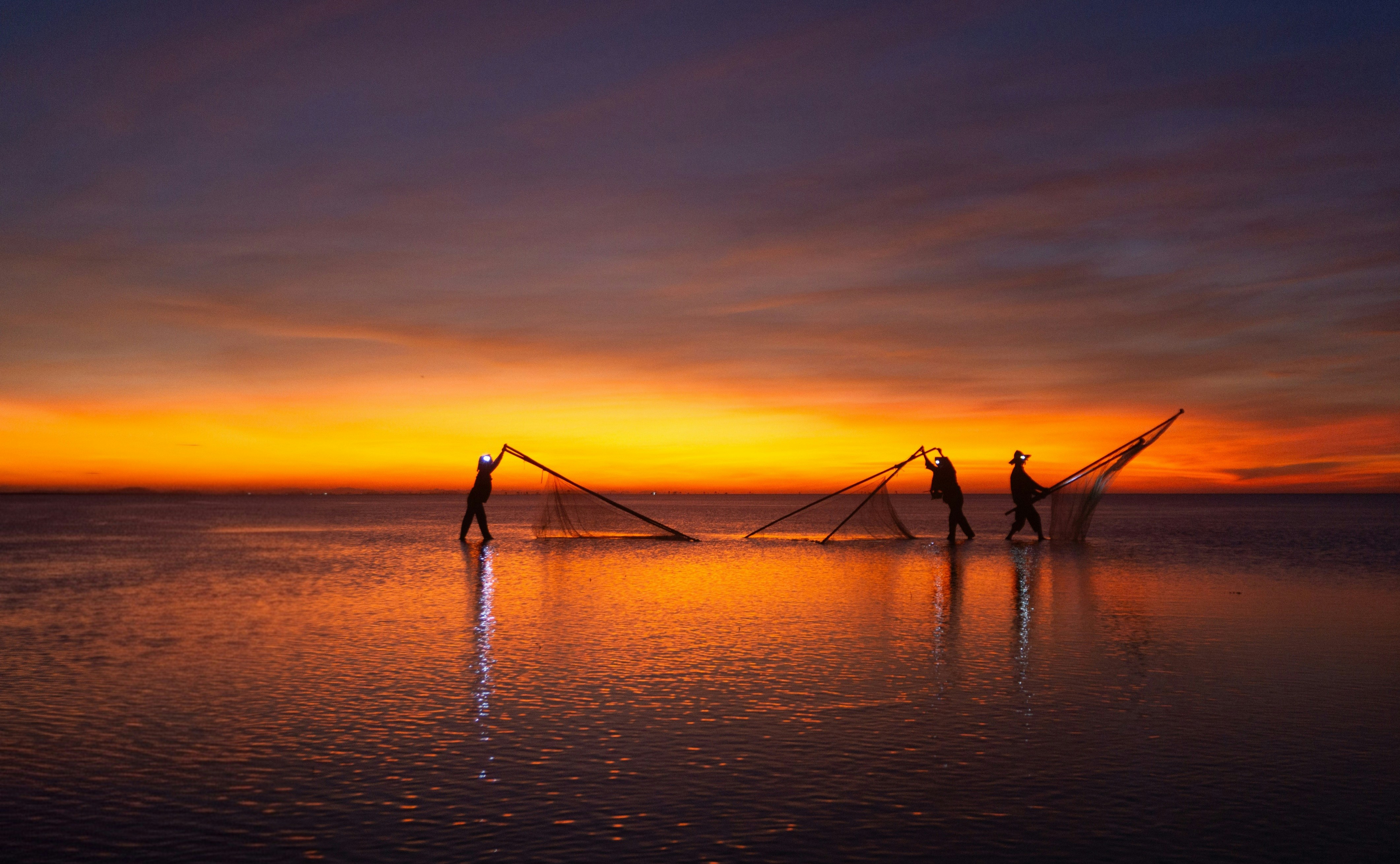 Photo by tranminhkhoi1160