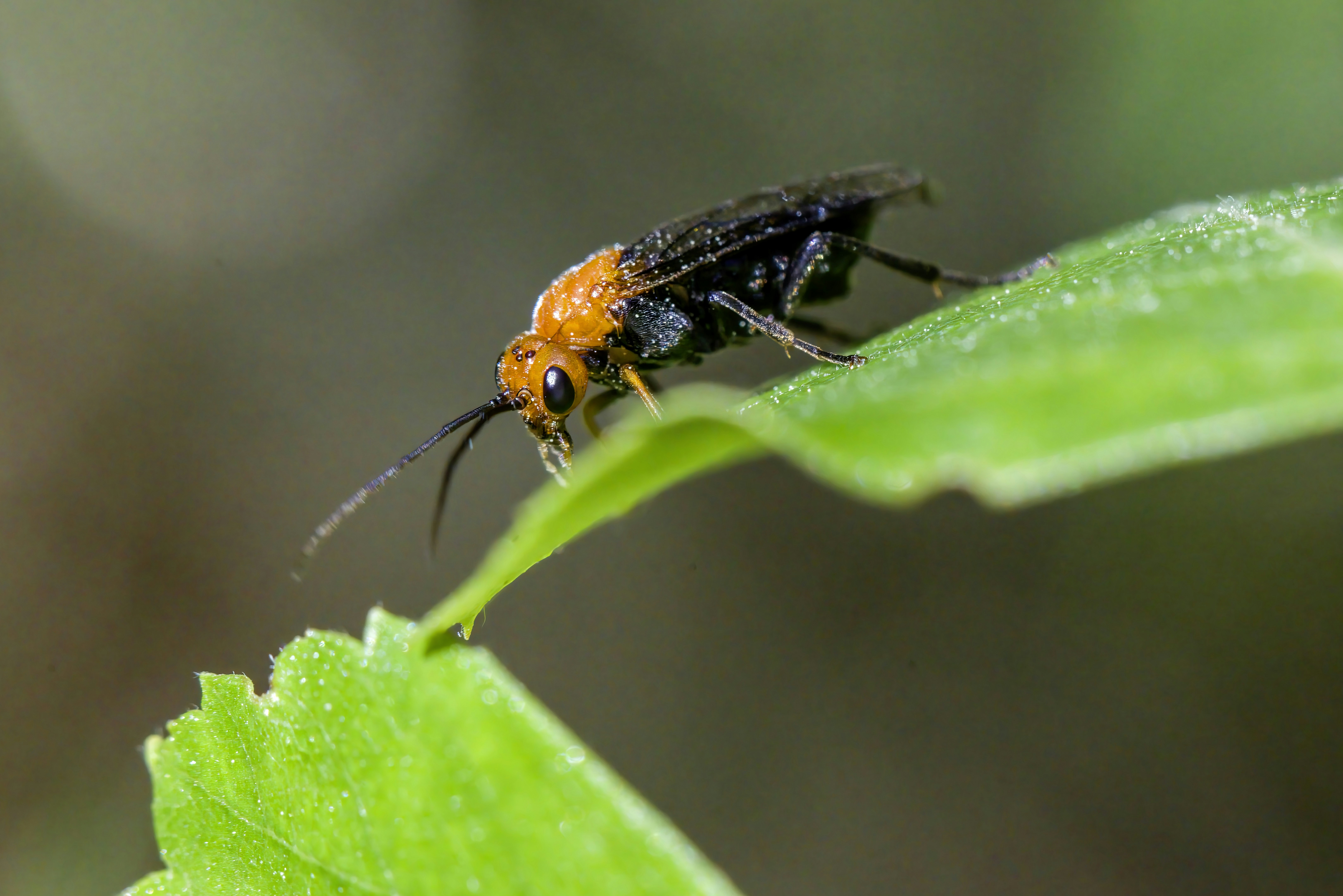 Photo by erik_karits