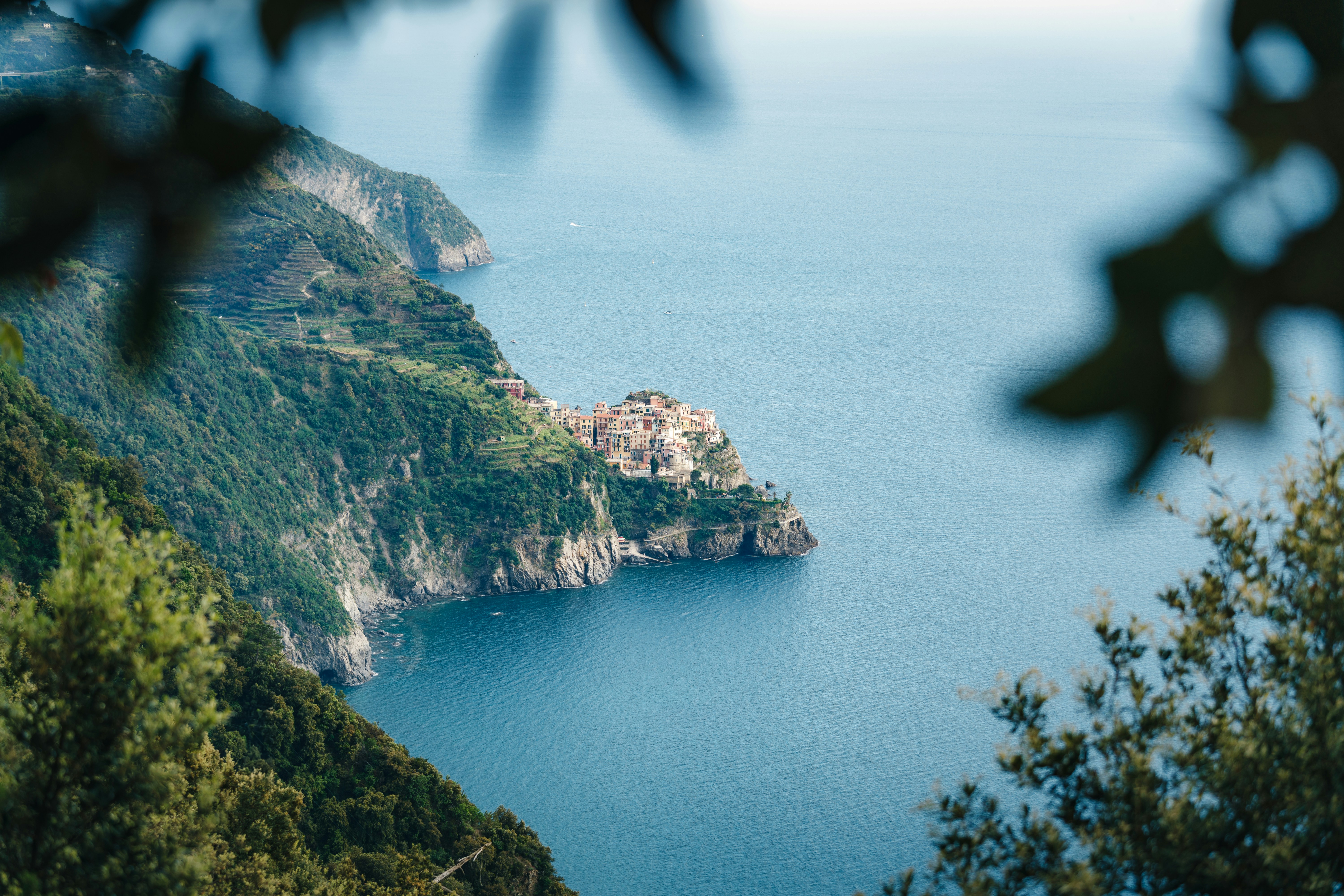 Photo by danielsessler