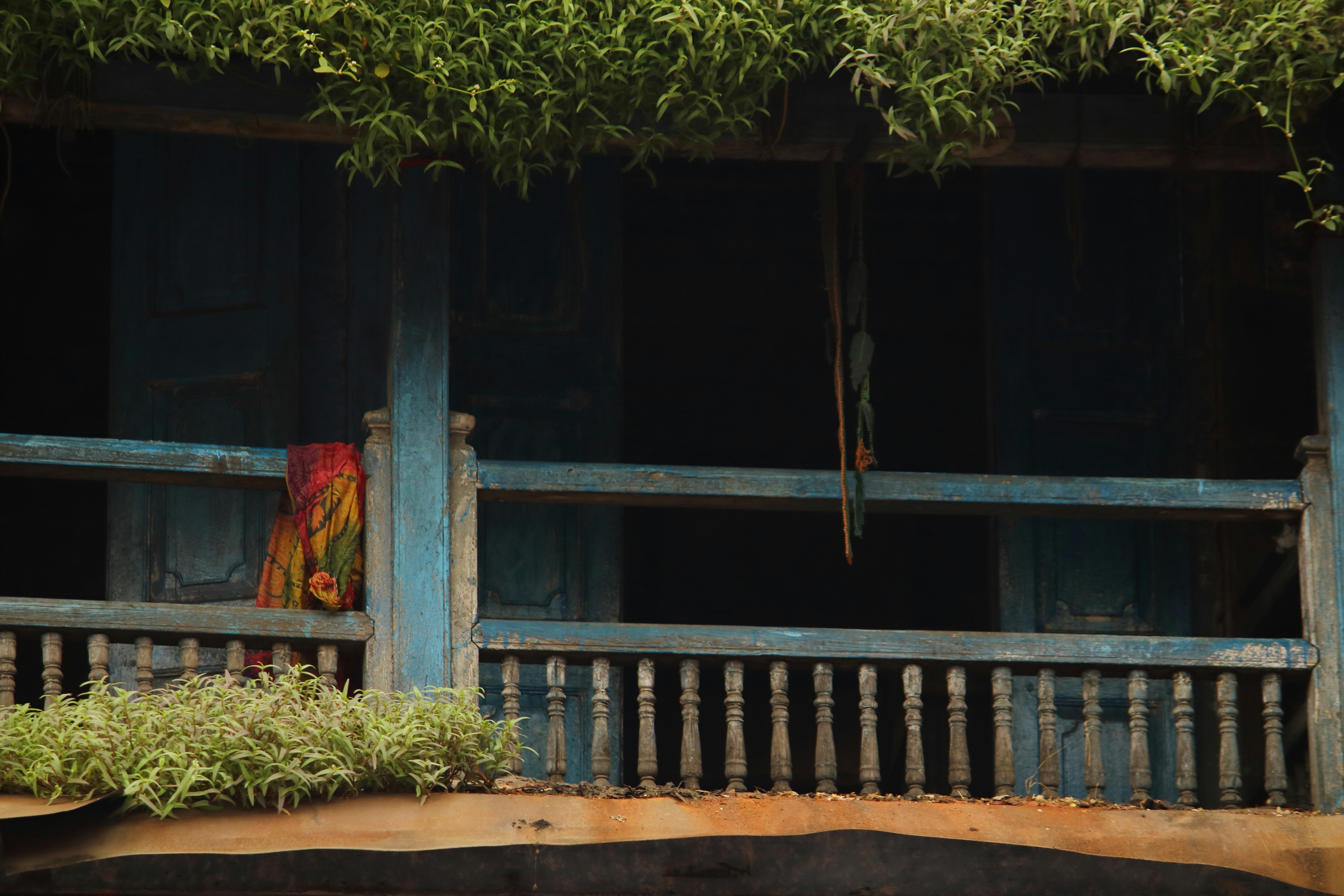 Photo by bhatia_rashmi