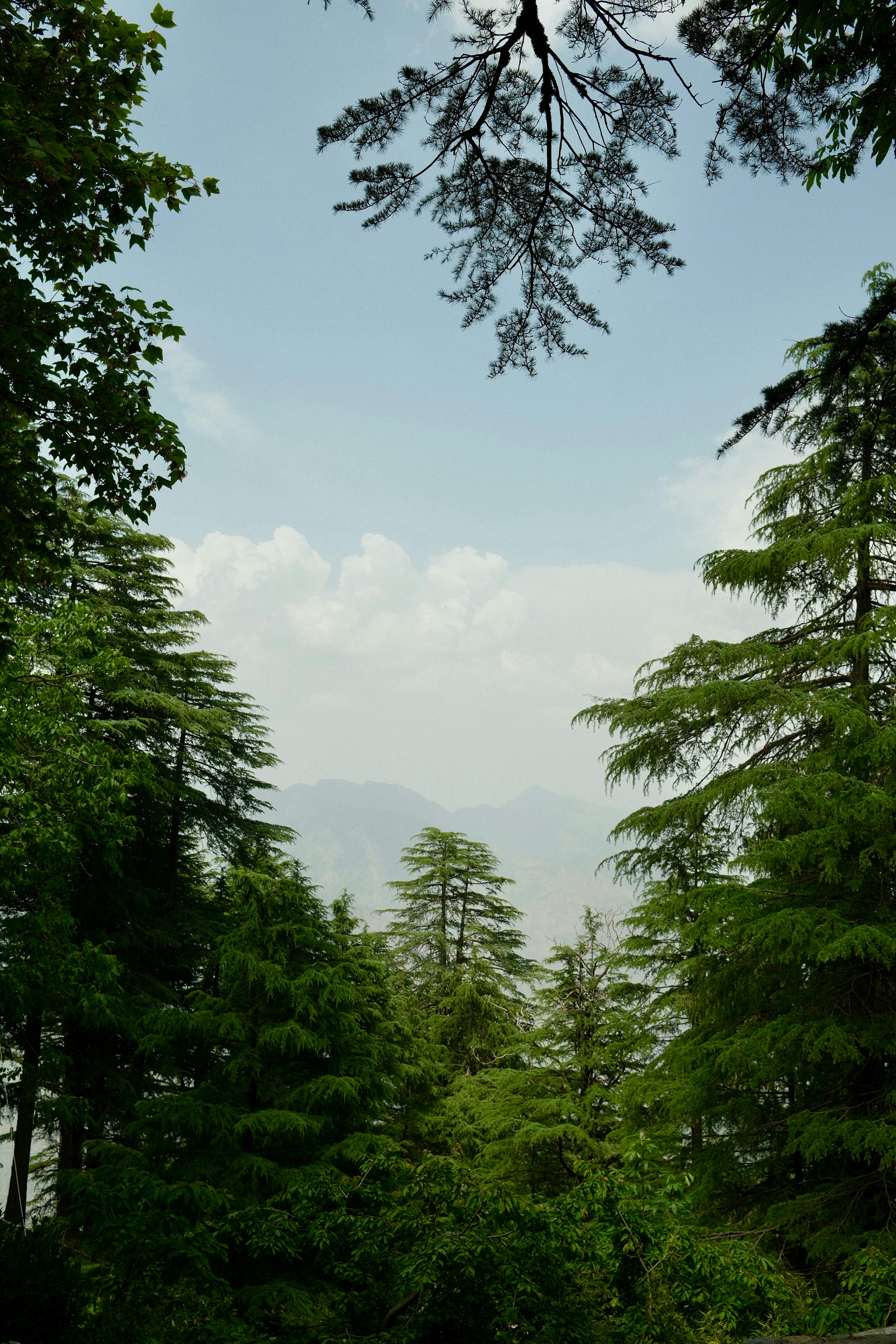Photo by sirav