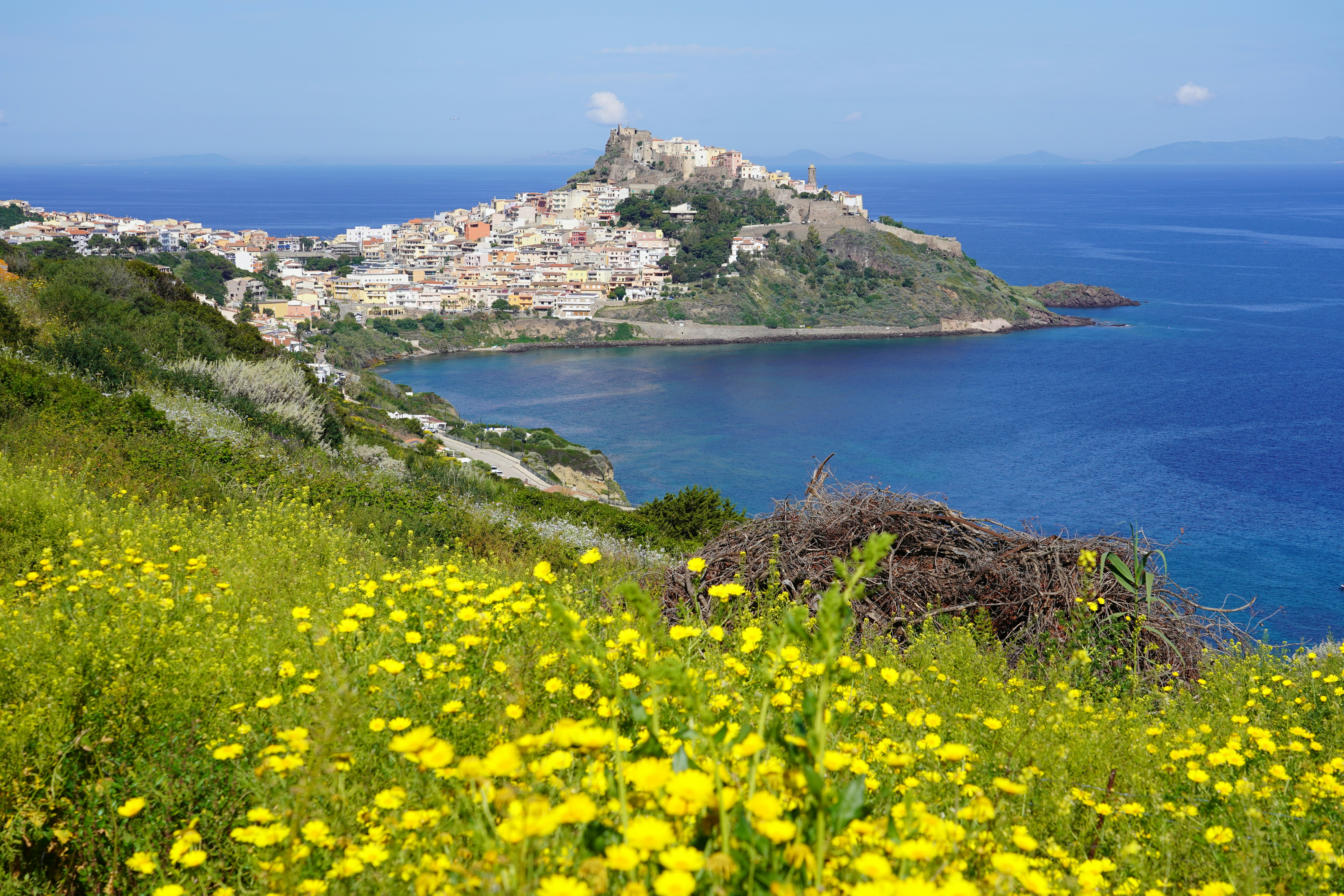 Image by Jürgen Scheeff via Unsplash