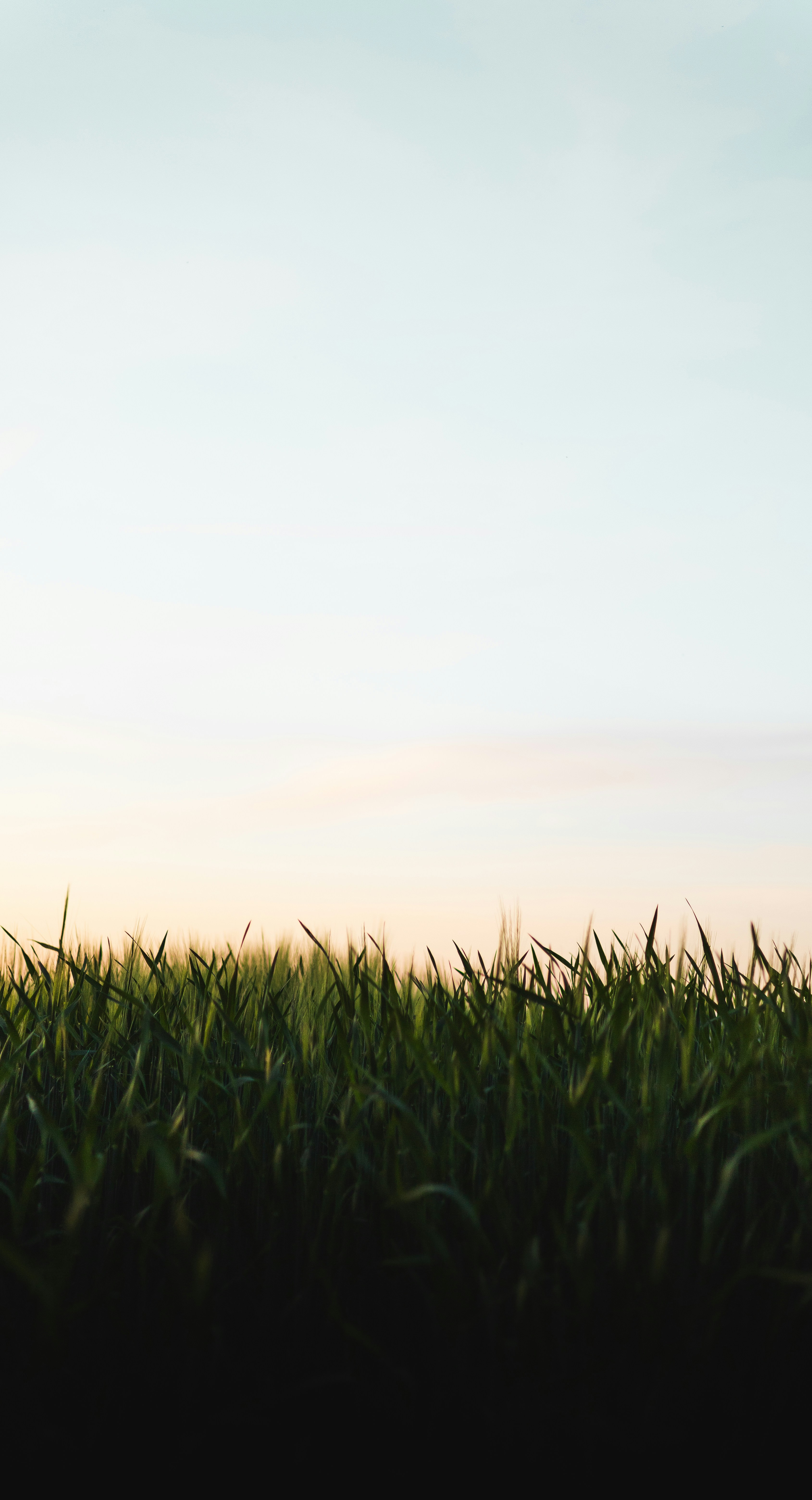 Photo by andreas_haslinger