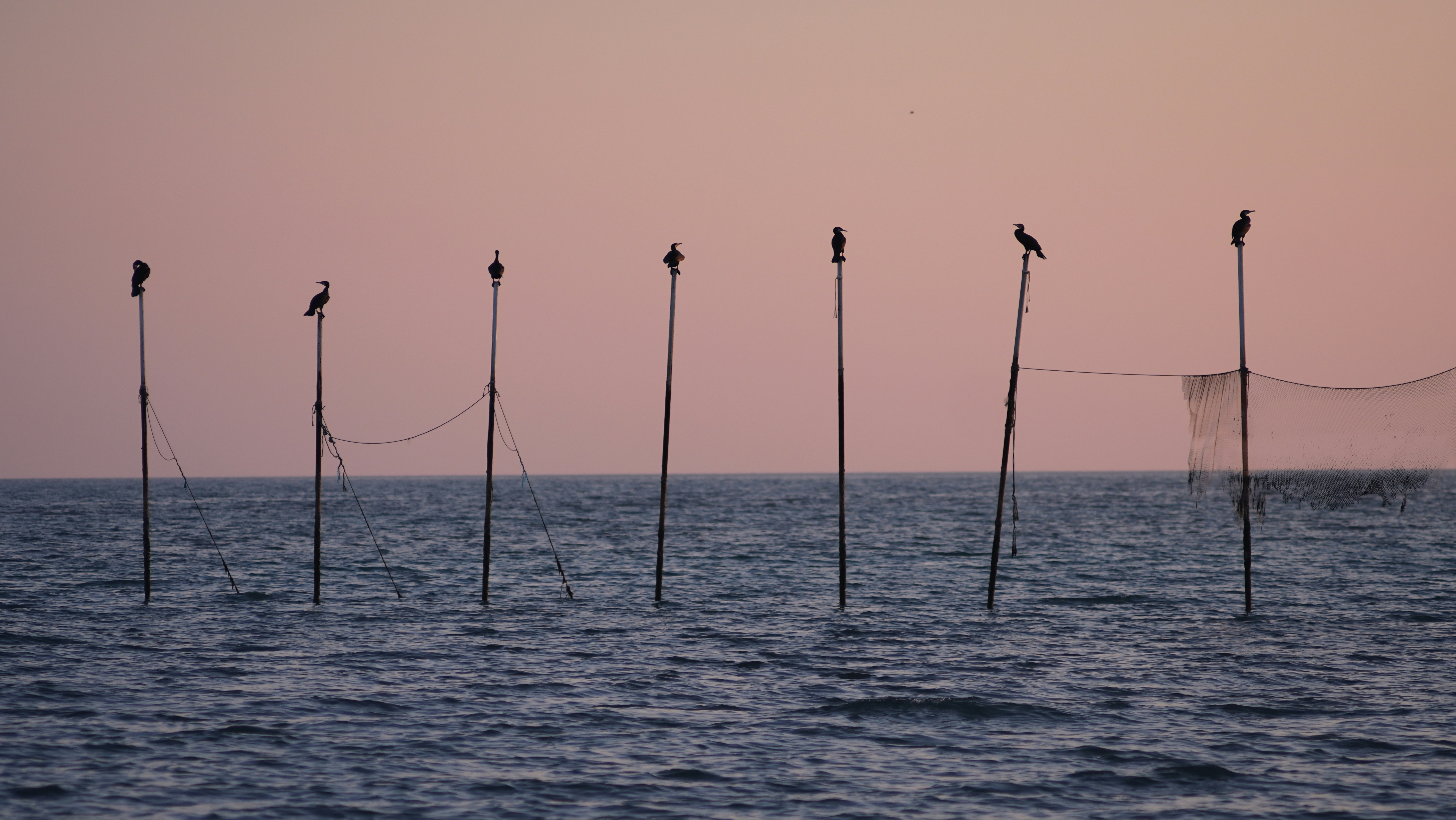 L’échec des rappeurs virtuels IA faut il vraiment en créer de nouveaux