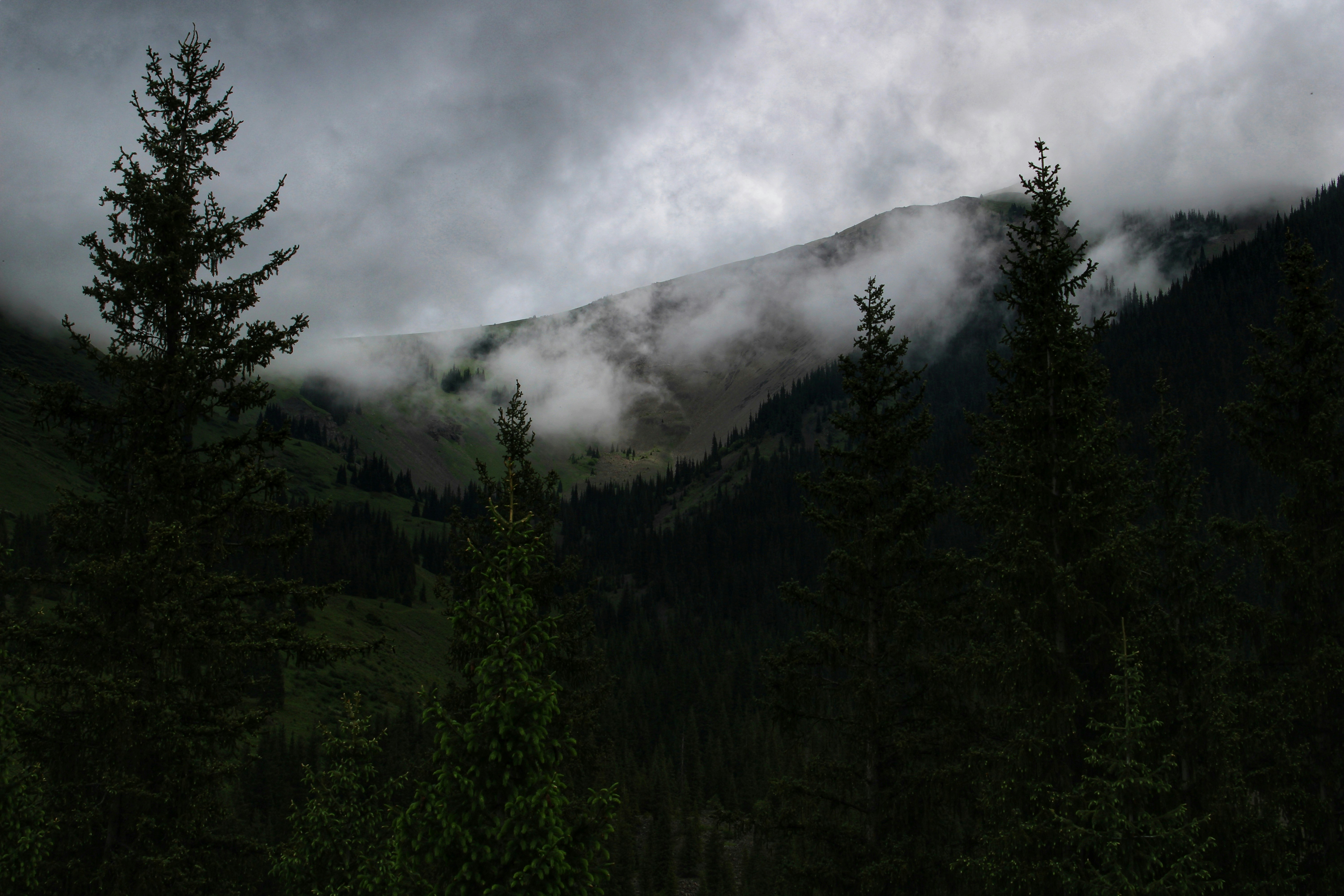 Photo by angelina_podbolotova