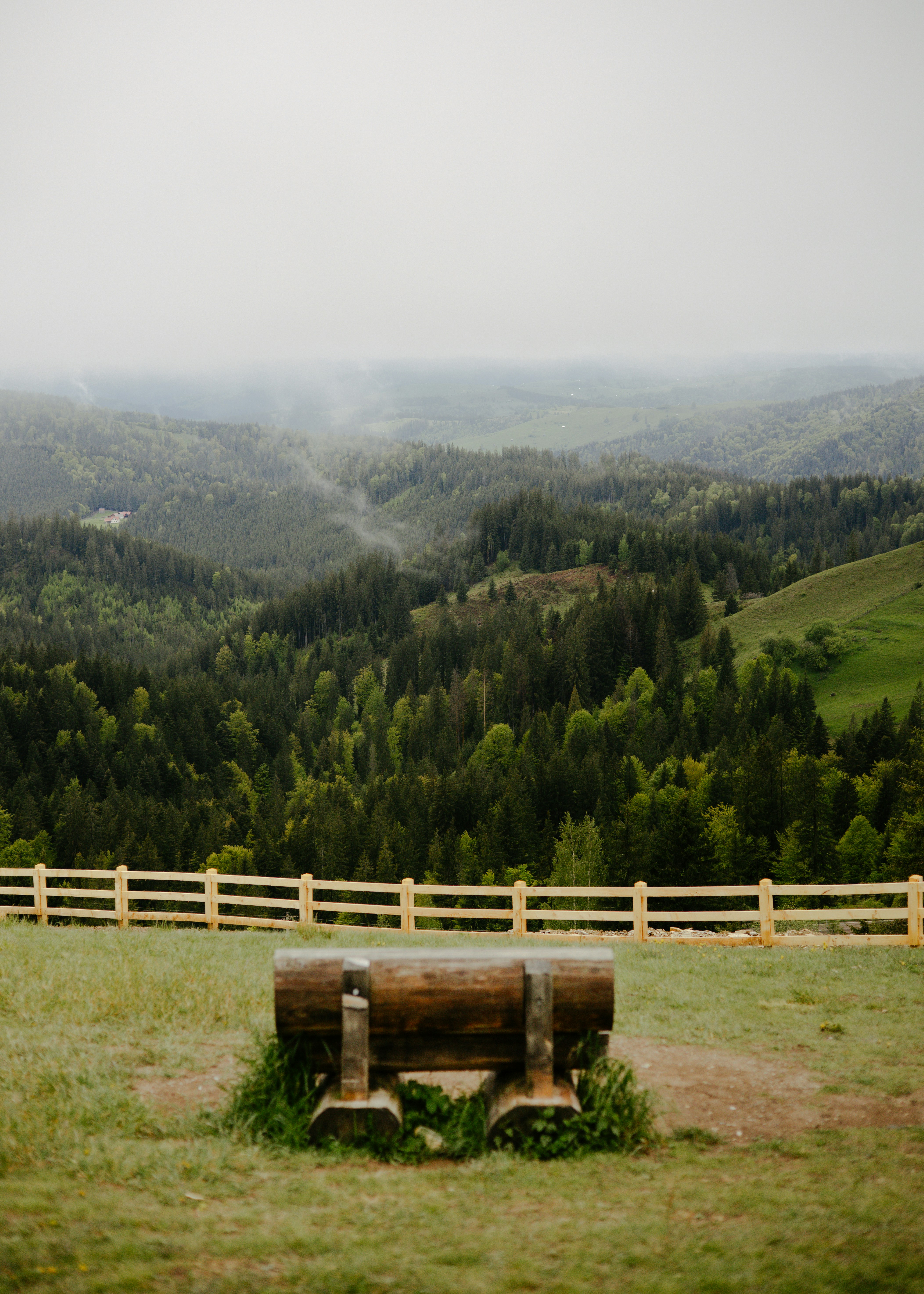 A log bench sits above a beautiful landscape.