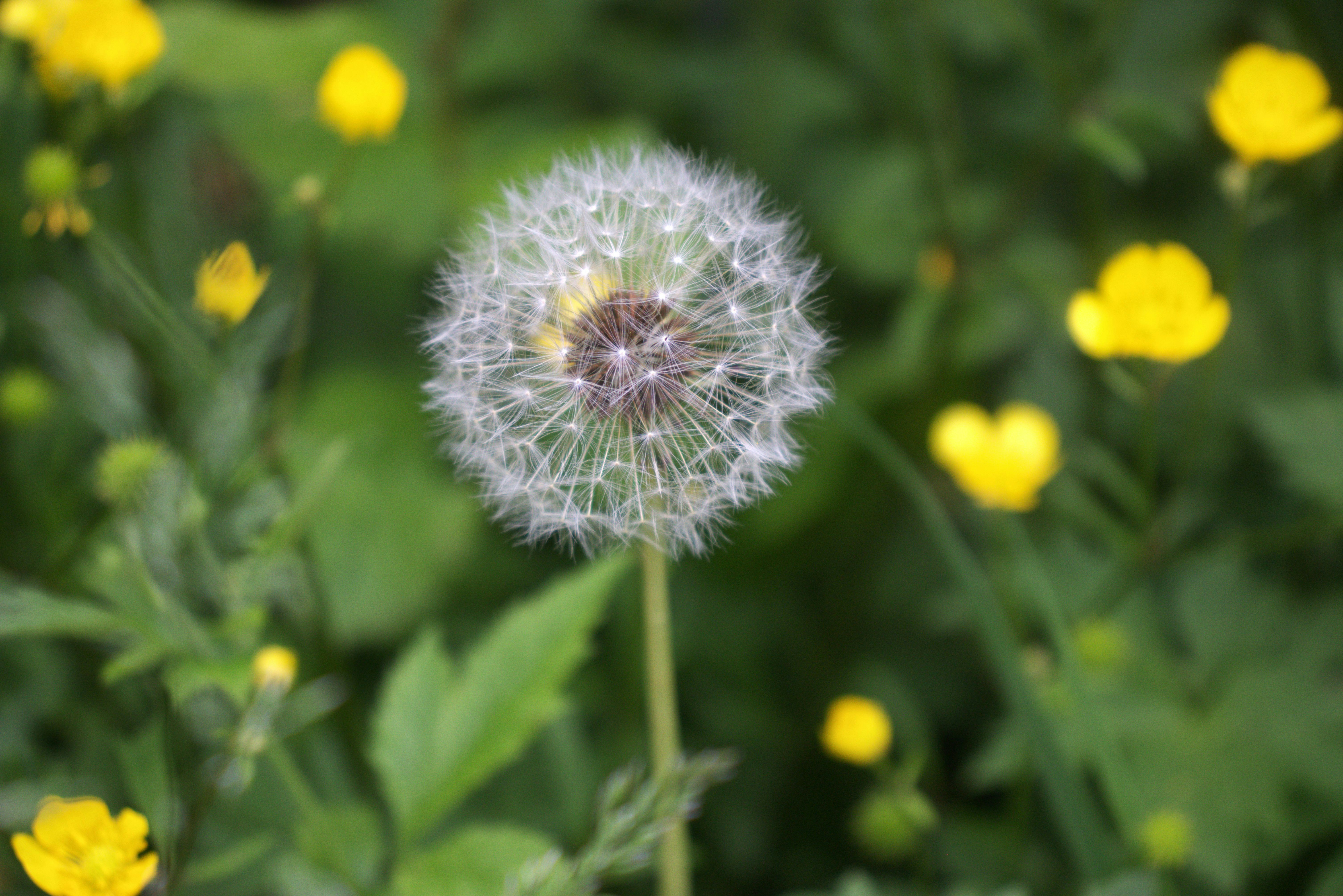 Photo by stasiaspark