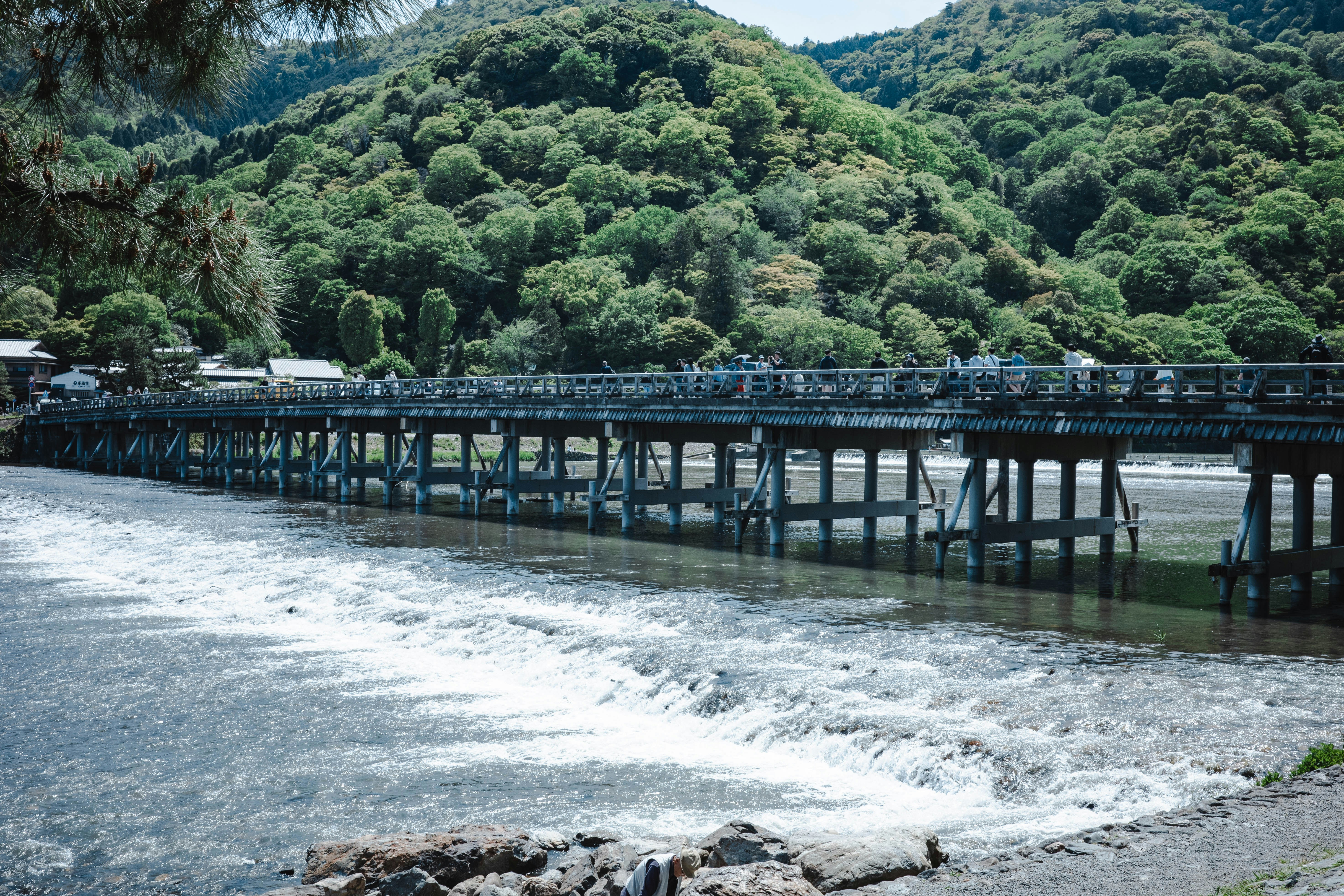 Un lungo ponte attraversa un fiume con una collina lussureggiante.